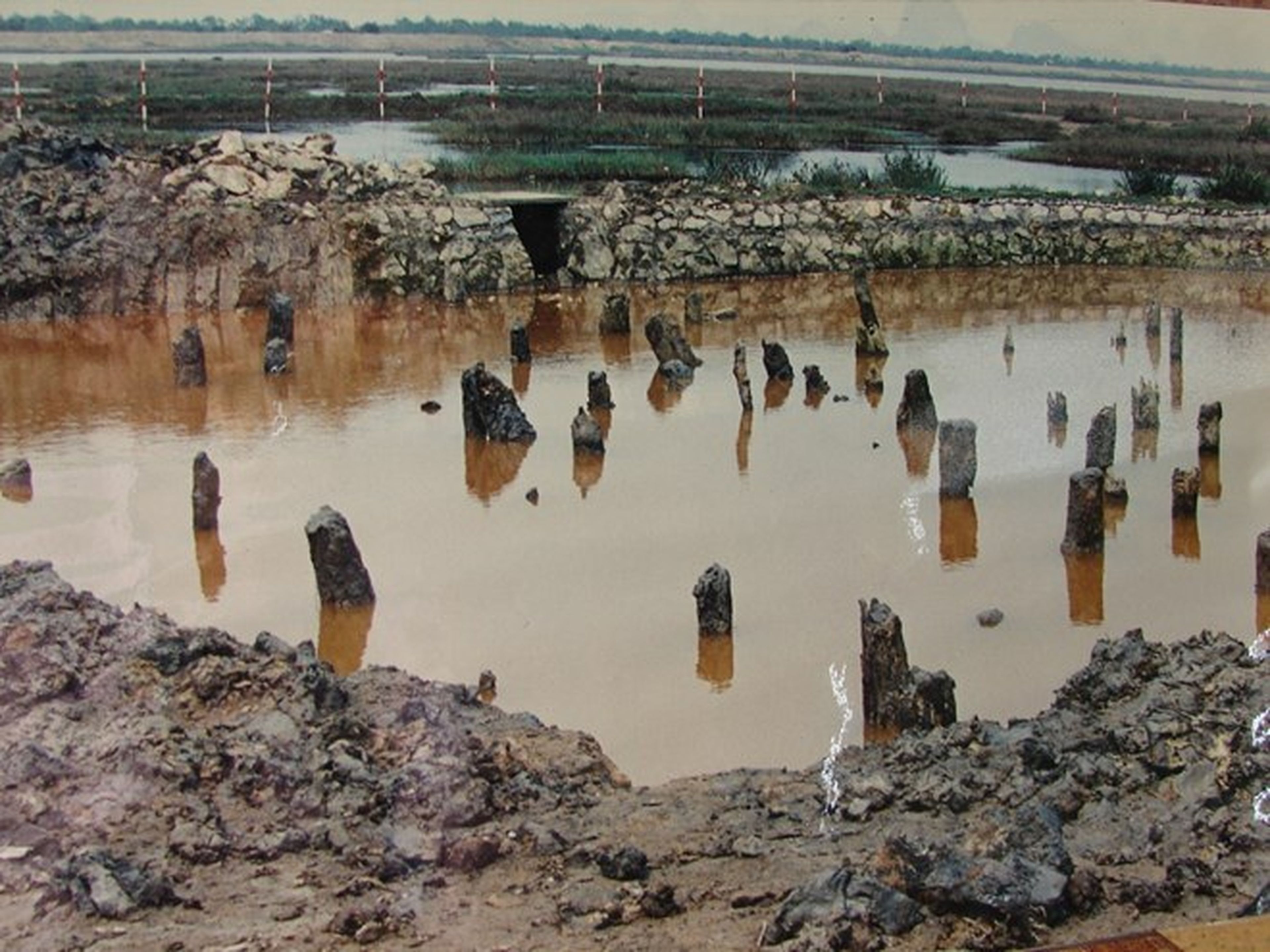 Bach Dang Victory Historical Site – Where Glorious Pages of History Were Written - Hình 2