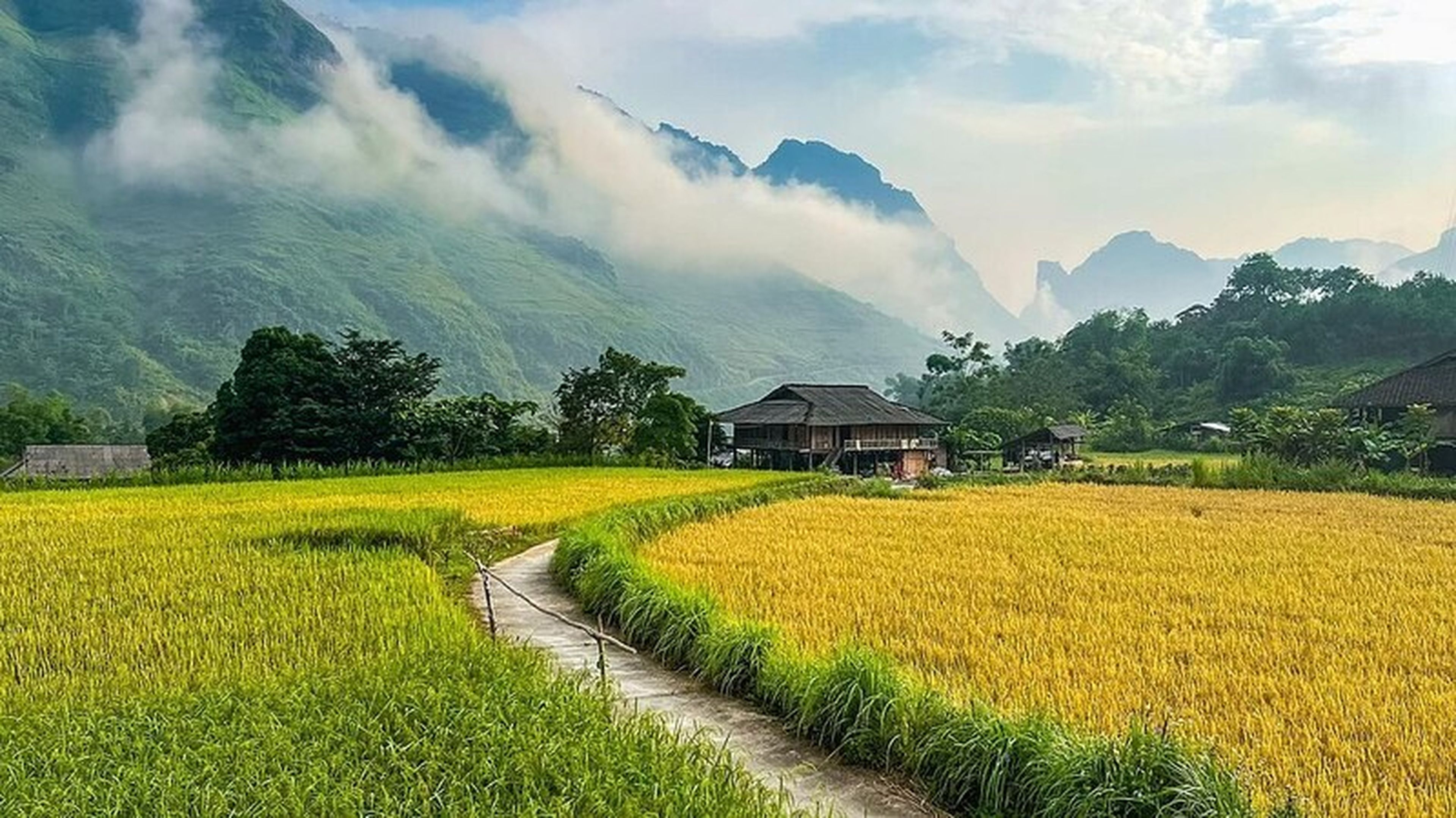 Vọng cảnh Hà Giang Loop, cung đường trong mơ xứ Đông Bắc - Hình 13