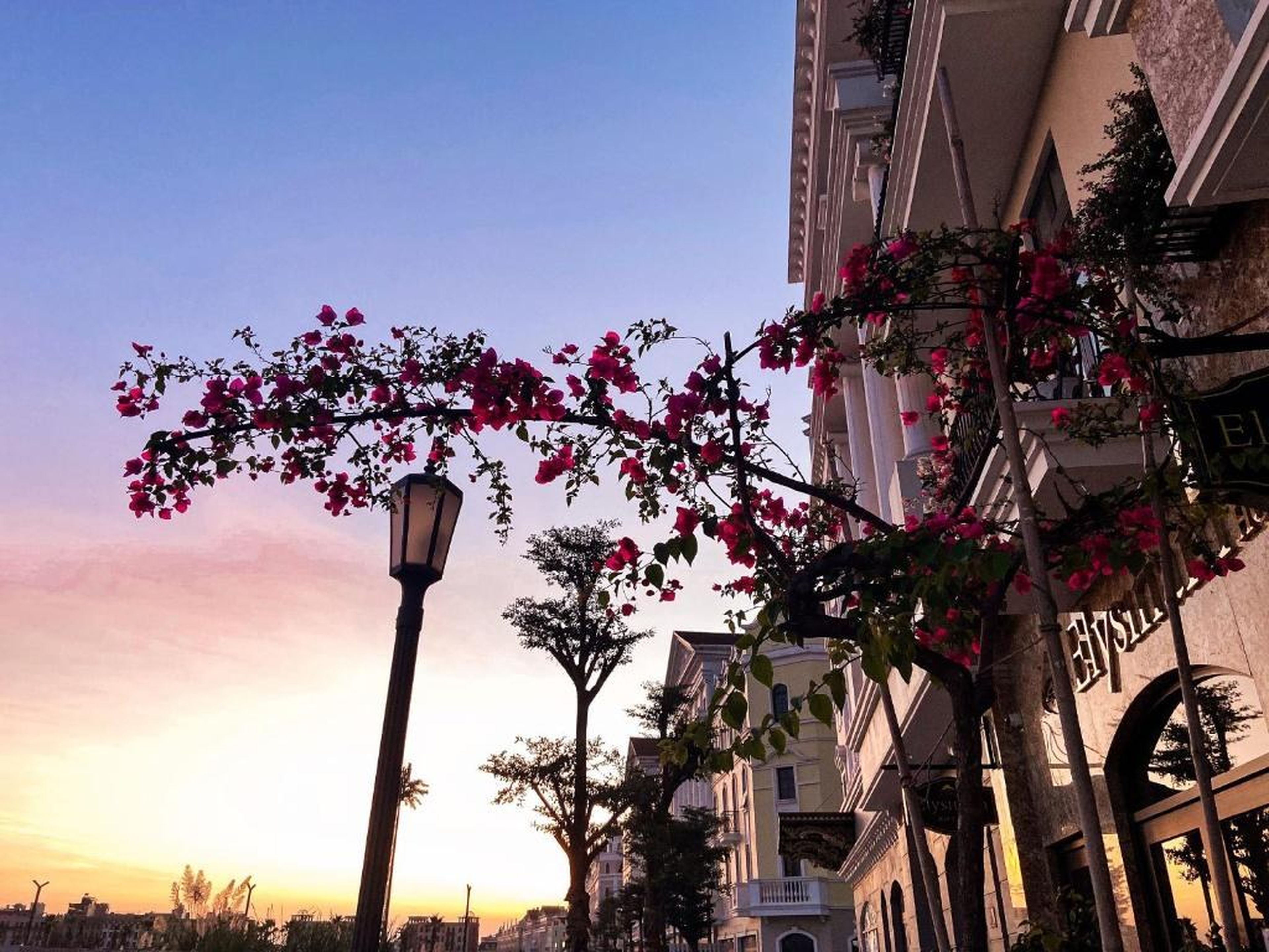 Elysinam Boutique Hotel Ha Long - Hình 44