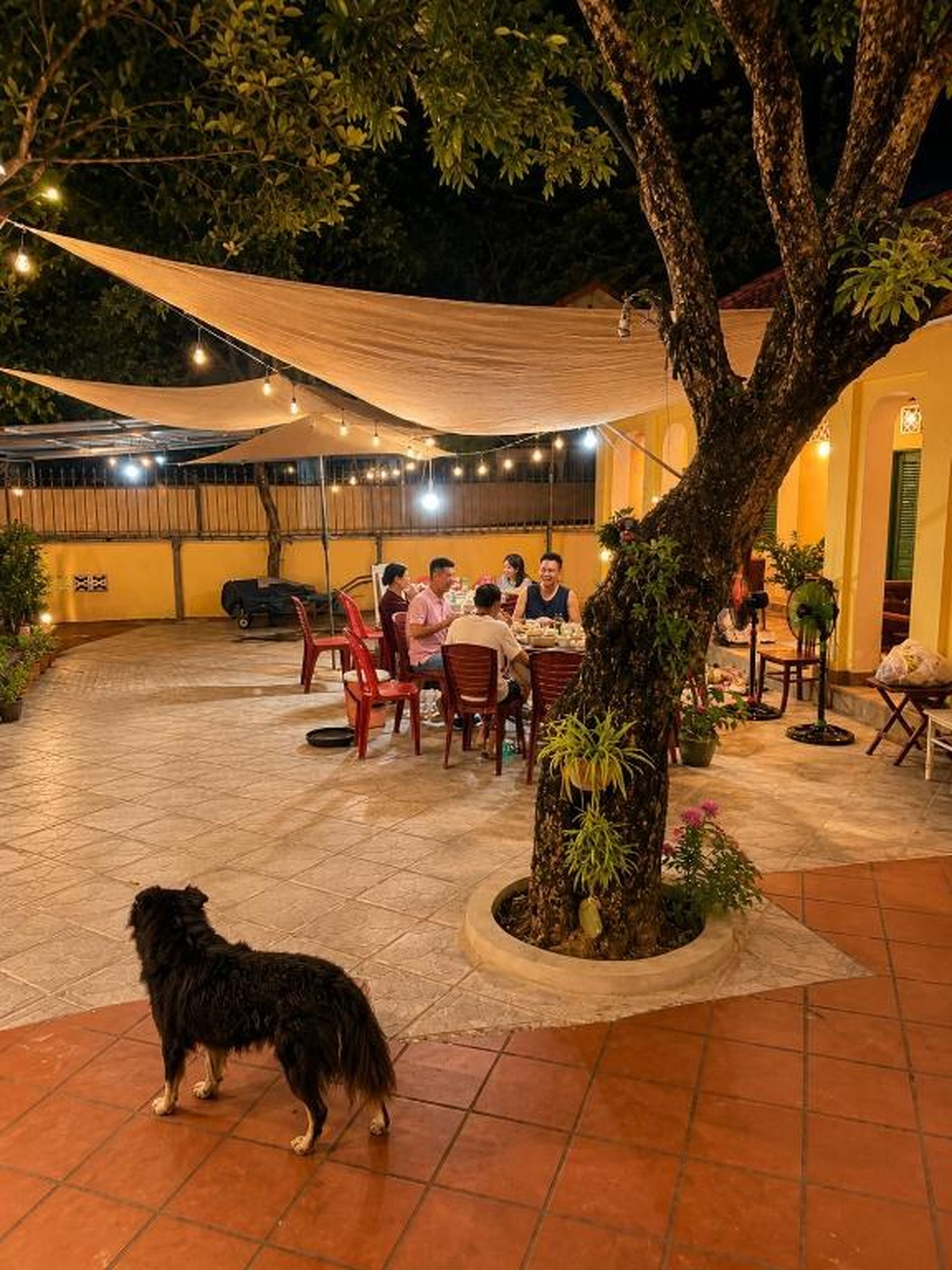 Pham's Homestay - Hình 11