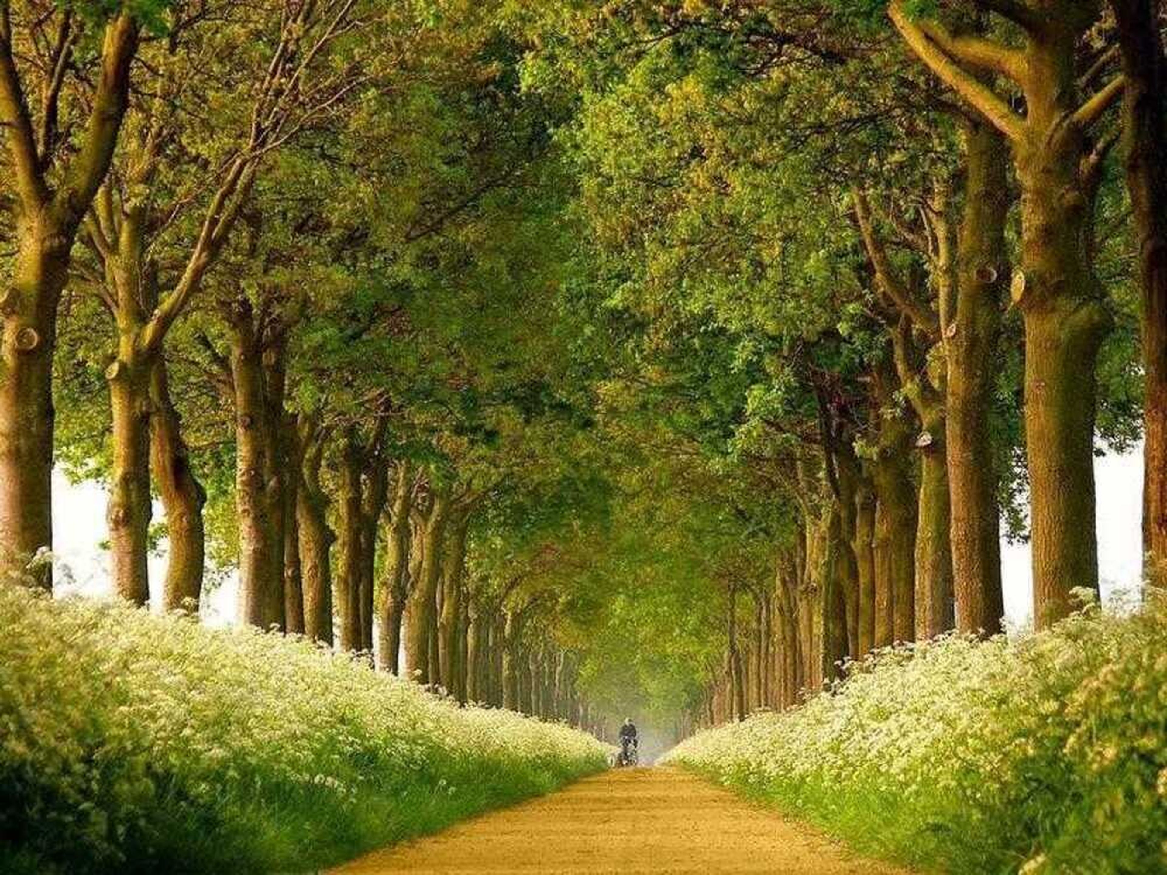 Bỏ túi kinh nghiệm đi Cô Tô từ cảng Cái Răng dành cho tín đồ xê dịch - Hình 6