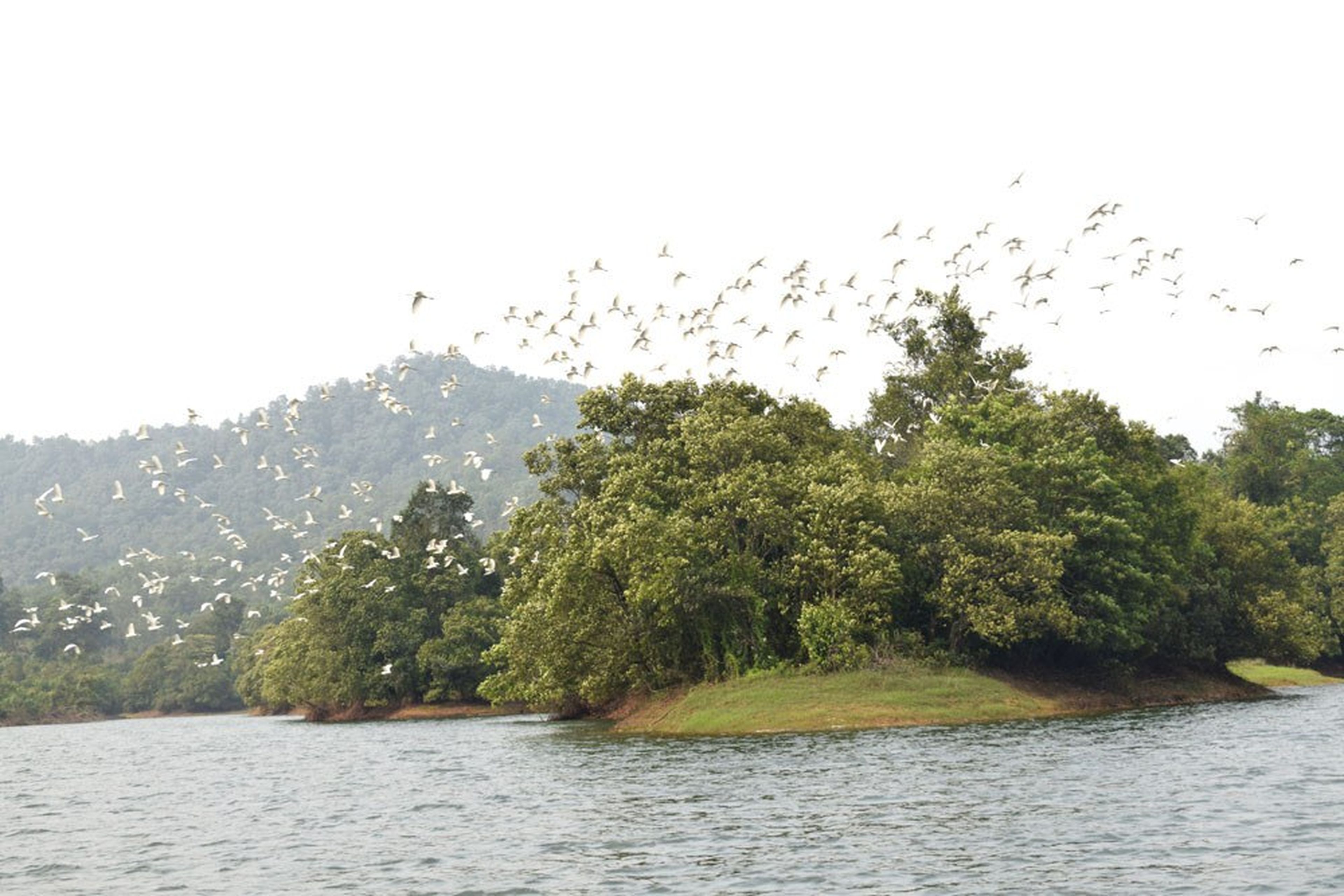 Hồ Trúc Bài Sơn – “Hồ trên núi” thơ mộng ở Quảng Ninh - Hình 9