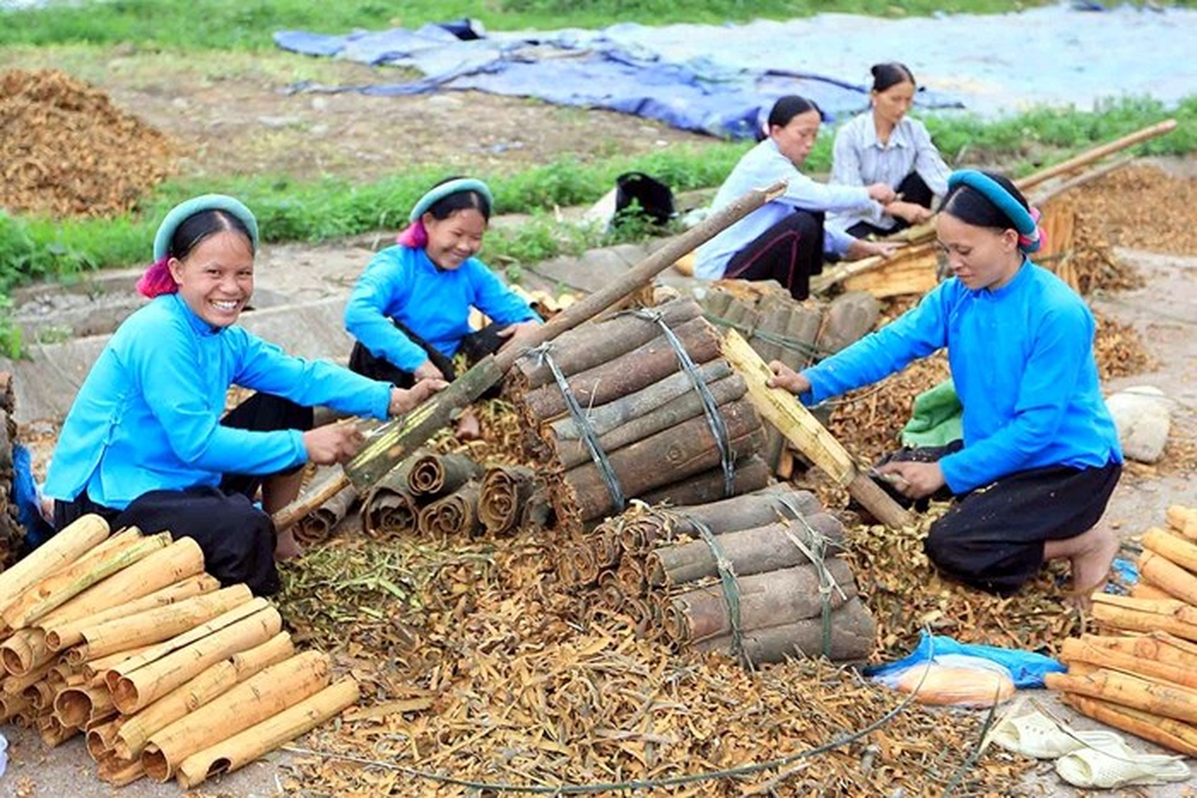 The Traditional Bài Incense-Making Craft in Quảng Ninh - Hình 3
