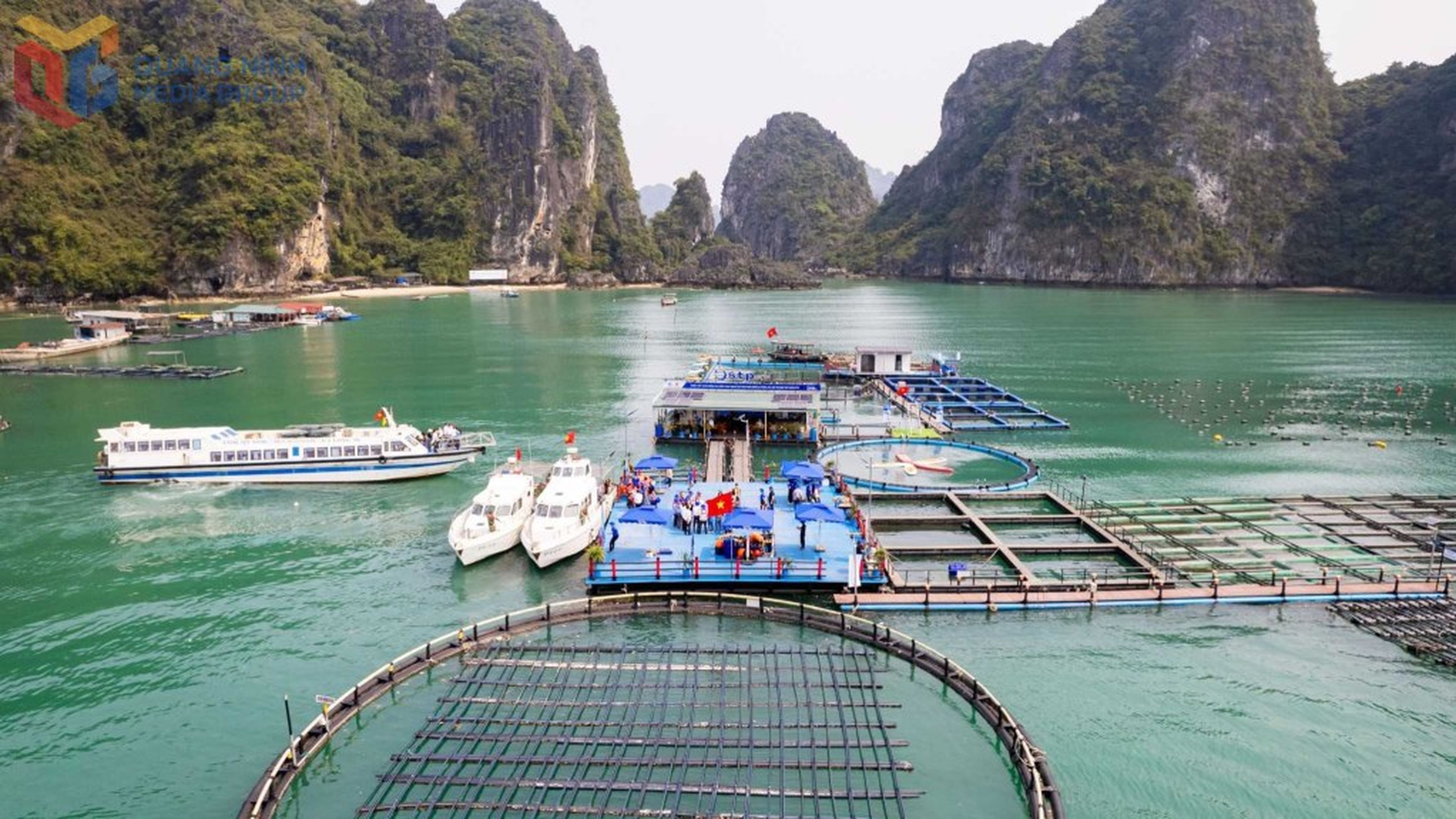 Developing Tourism Linked to Aquaculture in Van Don - Hình 5