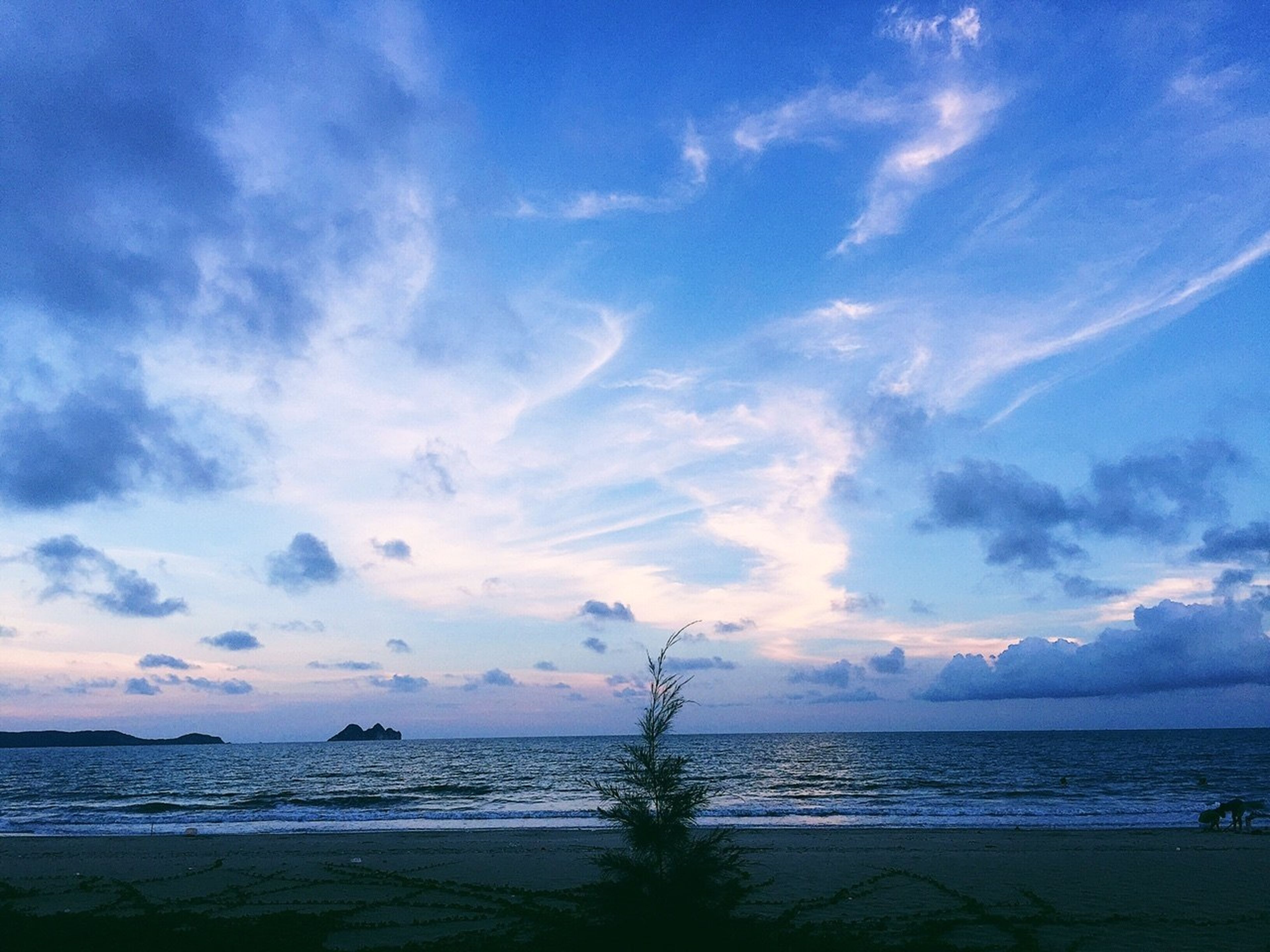 Discover Ngoc Vung Island: Peaceful Yet Remarkably Captivating - Hình 4
