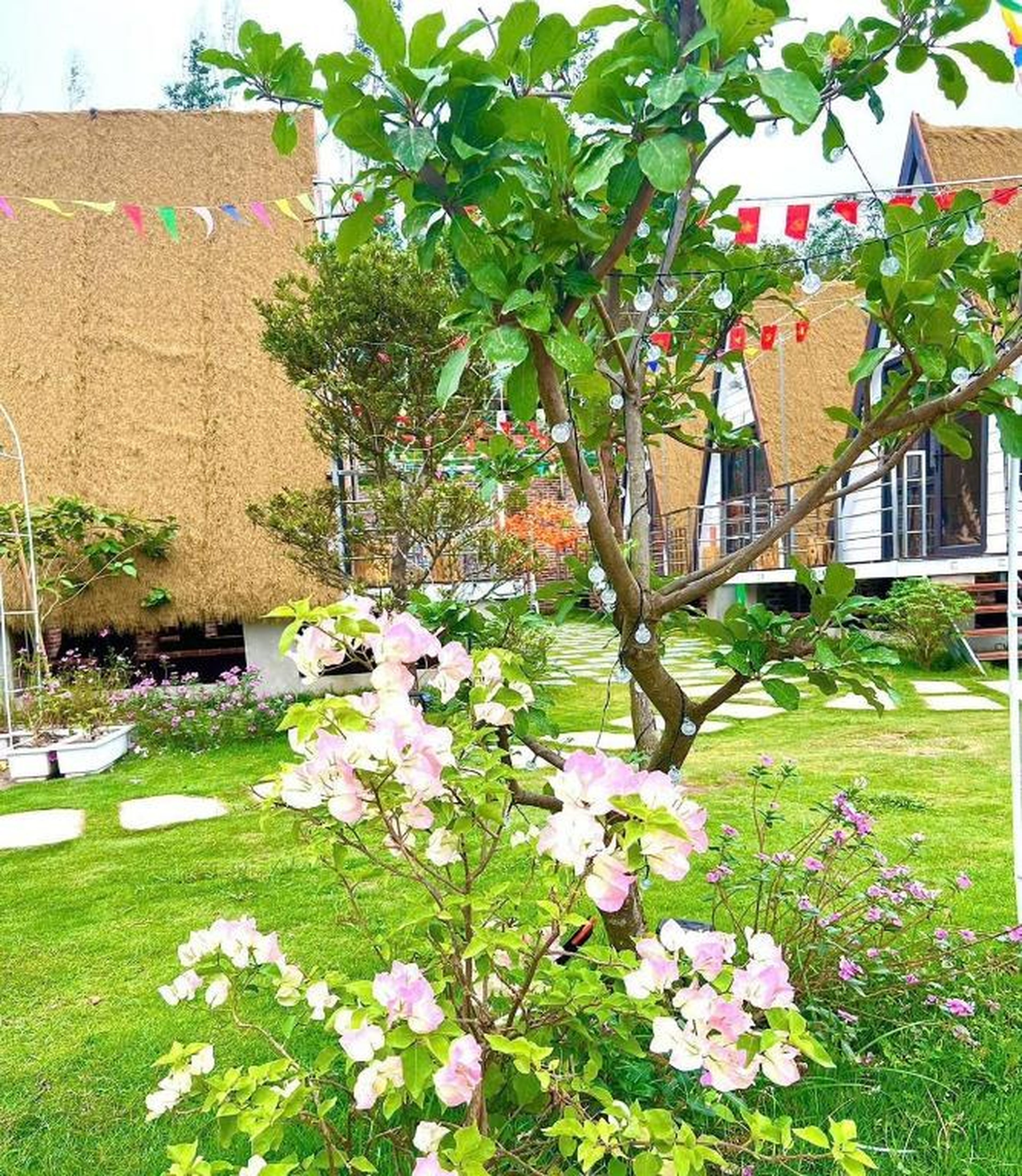 Mia's Homestay - Hình 17
