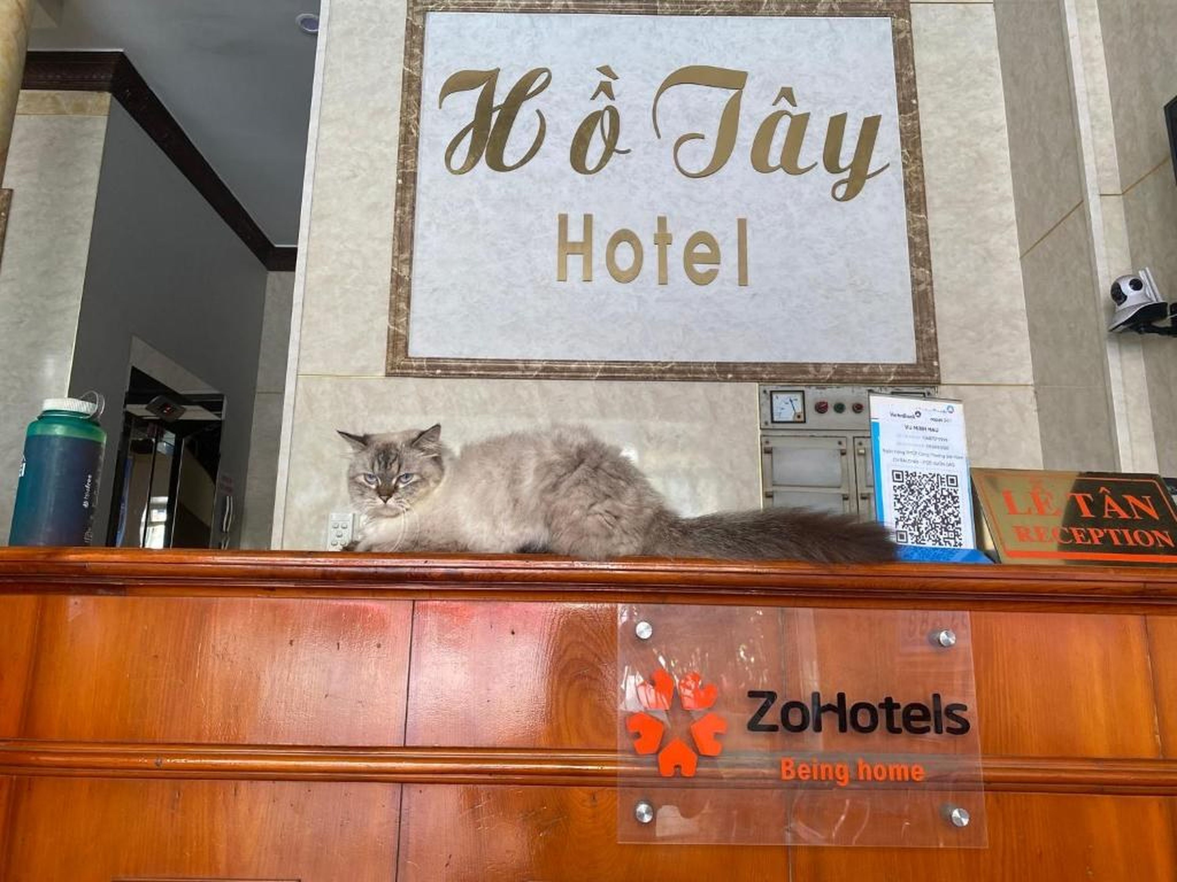 Ho Tay Hotel - Hình 15