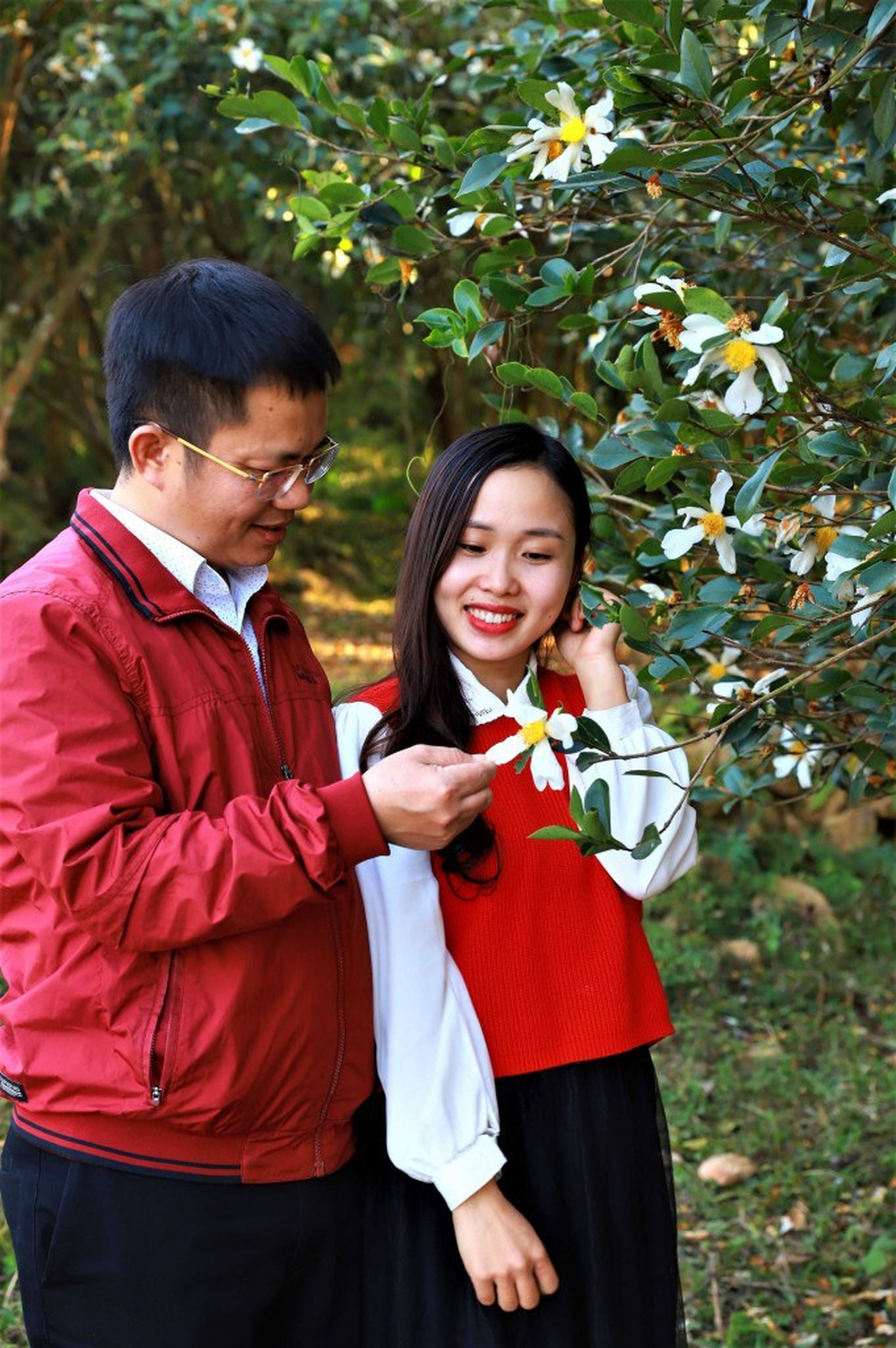 Du lịch Bình Liêu mê mẩn mùa hoa sở nở phủ trắng núi rừng - Hình 4