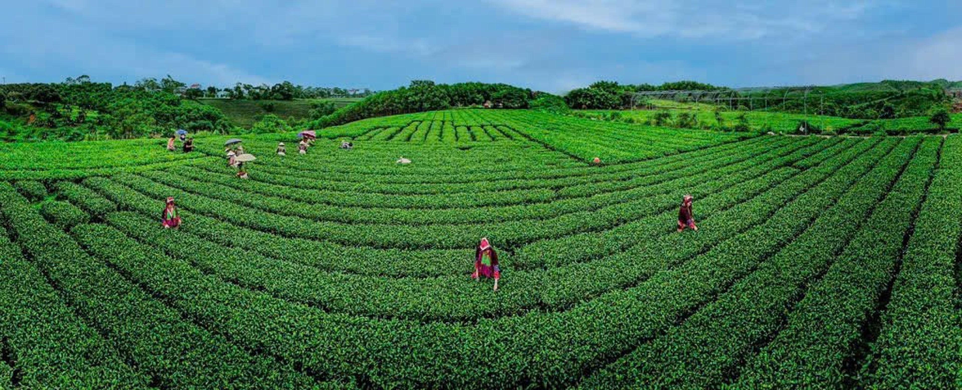 Developing Community-Based Tourism – Affirming Local Values - Hình 3
