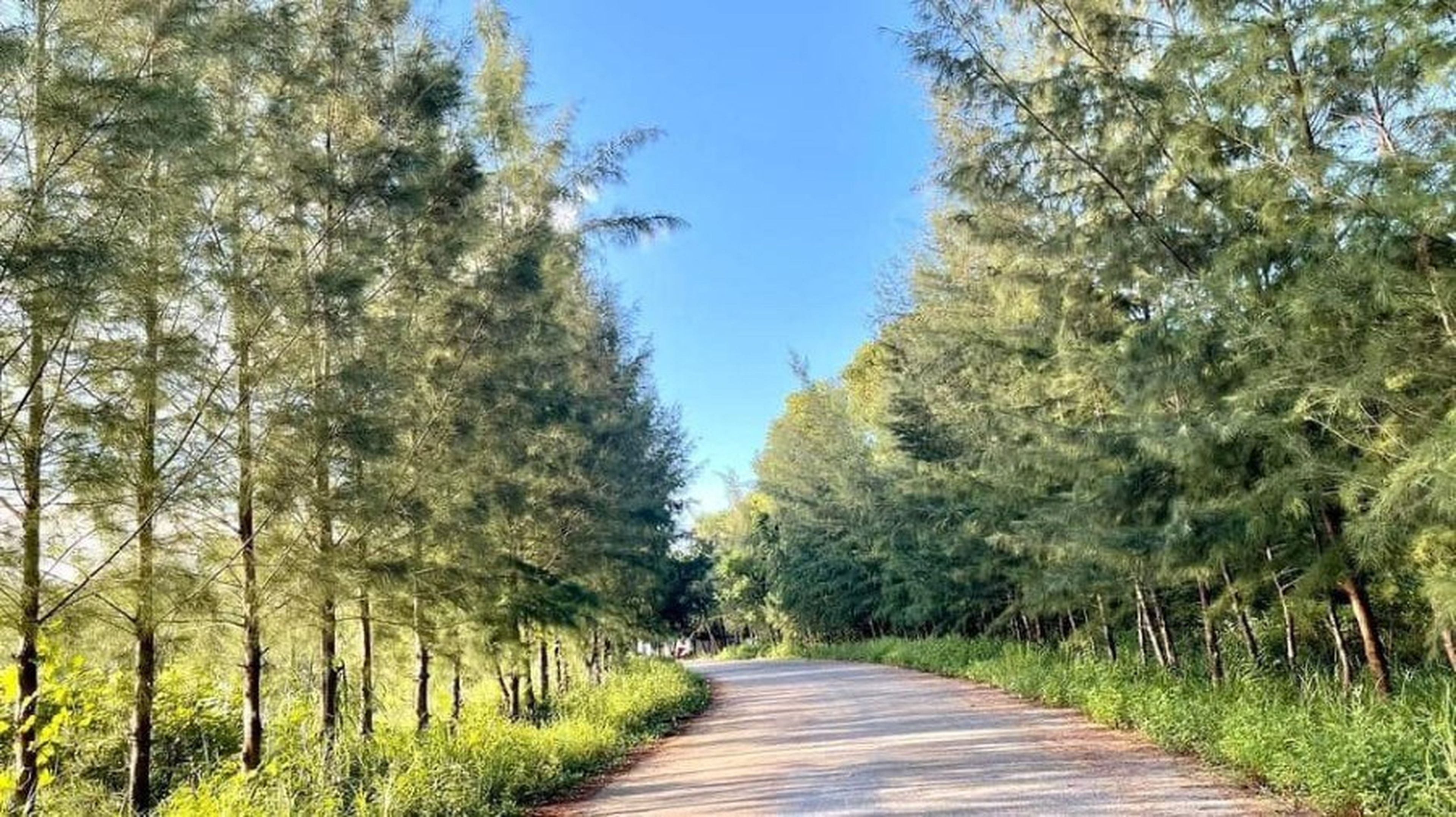 Khám phá Đảo Minh Châu, tận hưởng sắc thu lãng mạn của vùng biển Vân Đồn - Hình 1