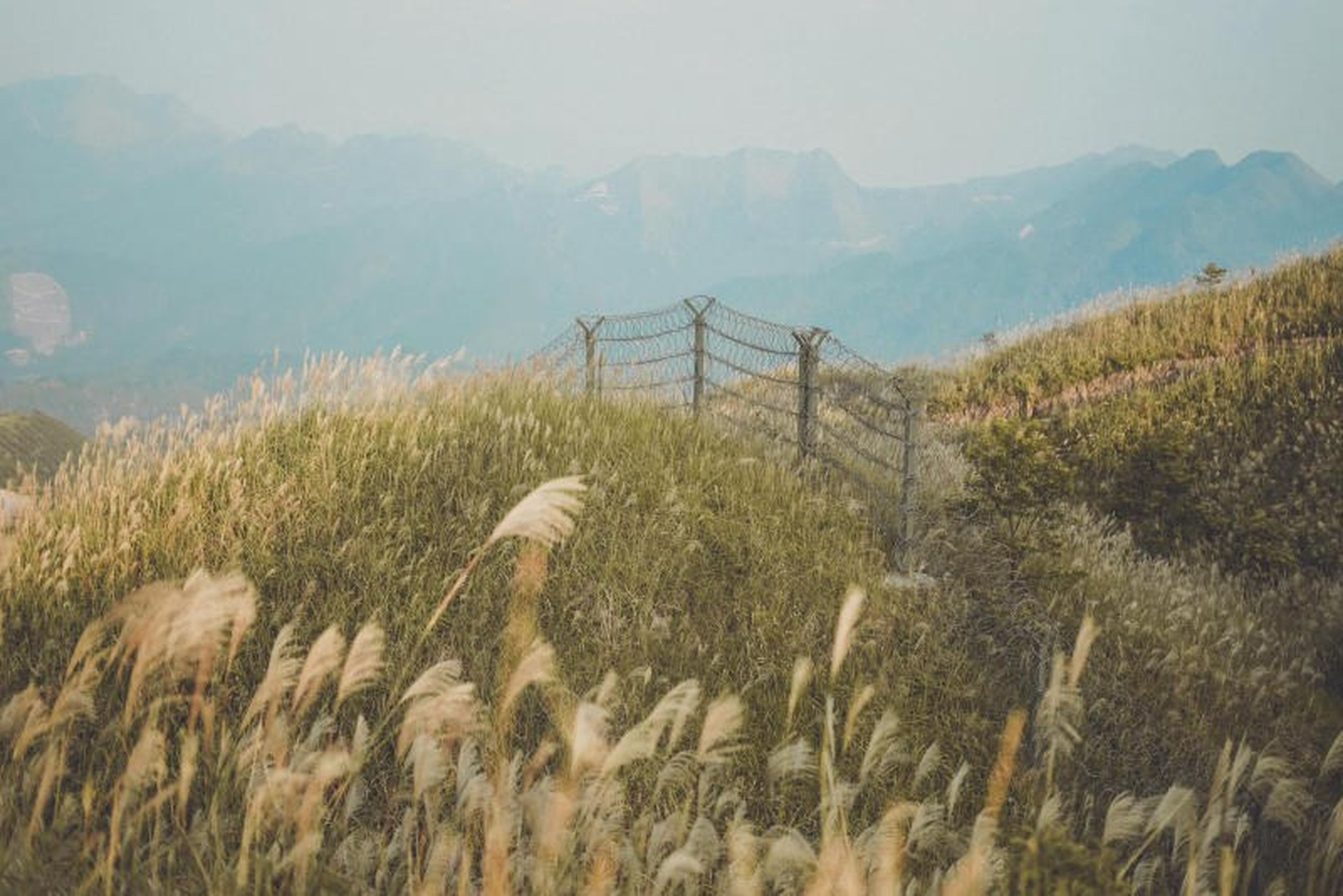 Có một Bình Liêu mùa cỏ lau yên ả đến thế - Hình 2