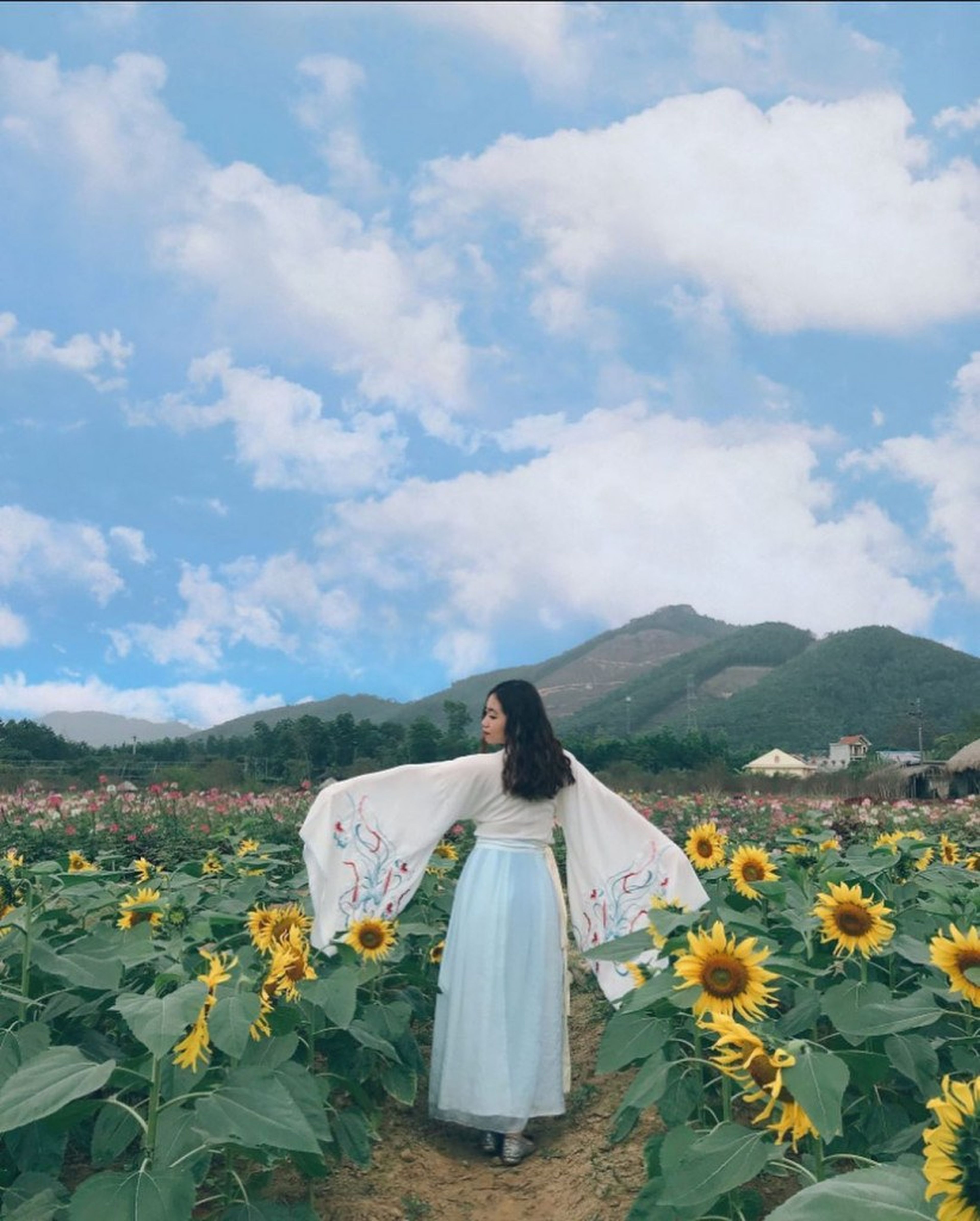 꽝닌 여행: 꽝라 꽃의 천국에서 메밀꽃 감상하기 - Hình 7