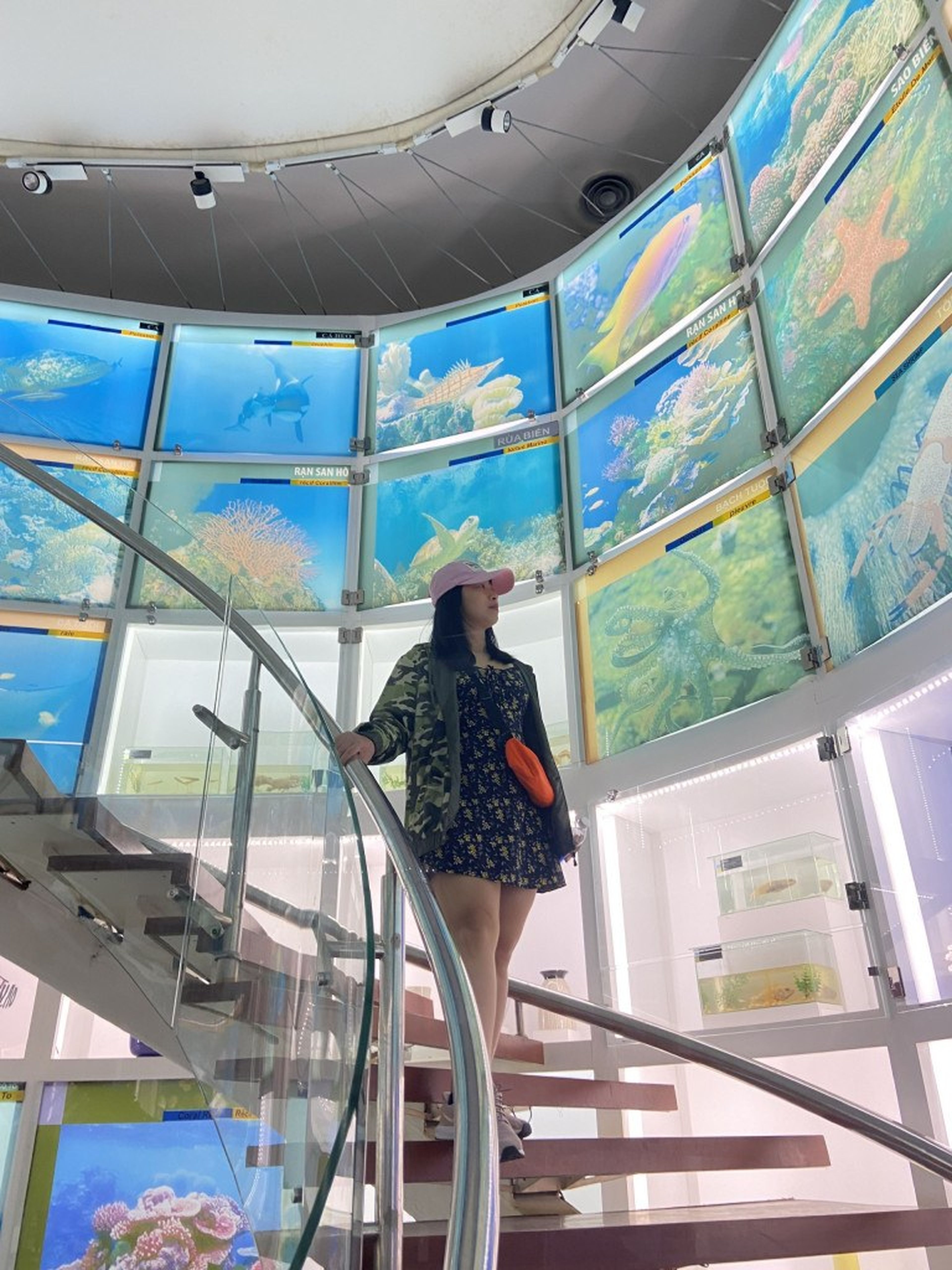 Ha Long Travel – Check in at the Unique Quang Ninh Museum by the Bay - Hình 7