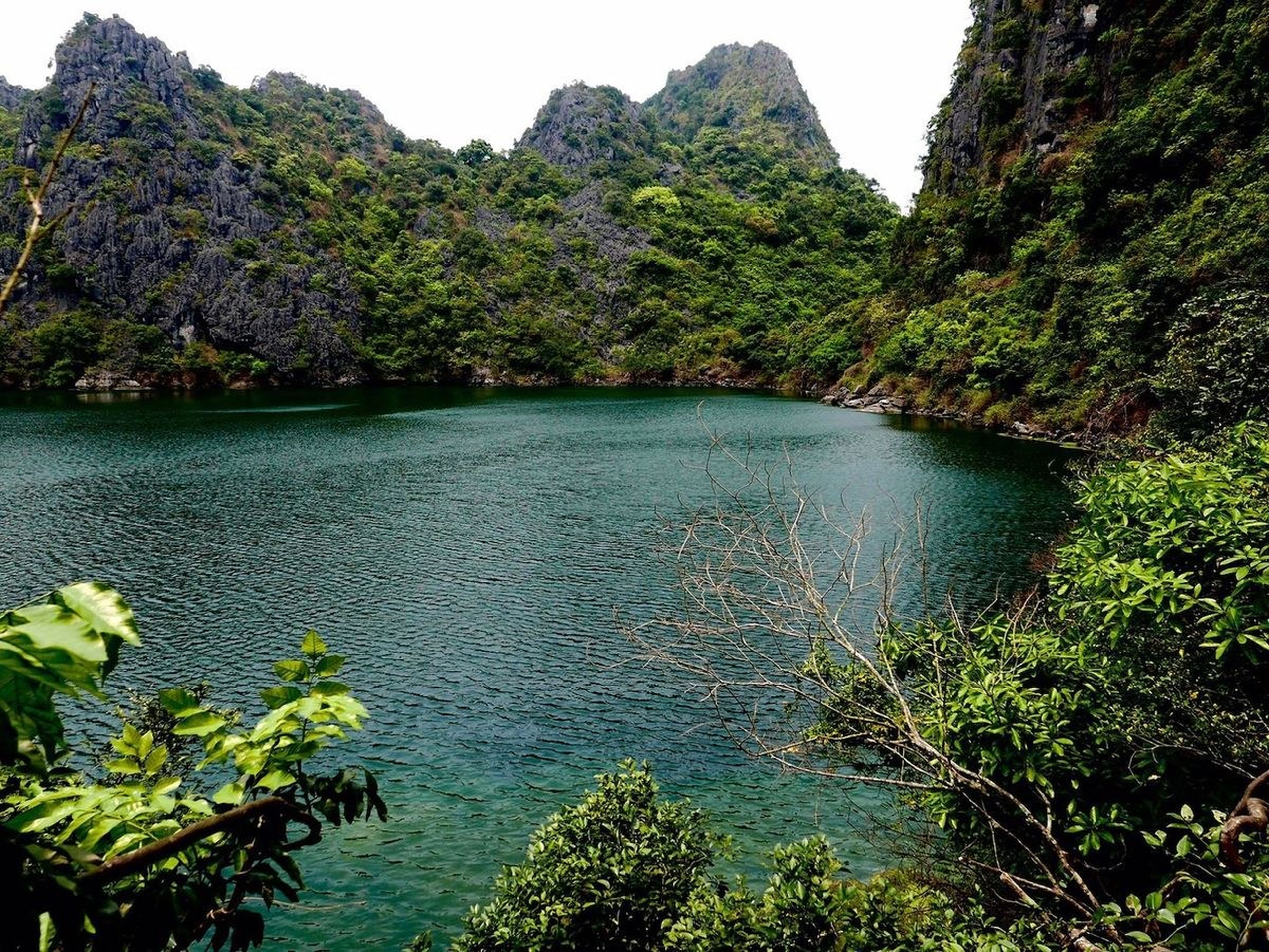 Chinh phục đảo Mắt Rồng - Viên ngọc quý giữa đại dương xanh trên vịnh Hạ Long - Hình 11