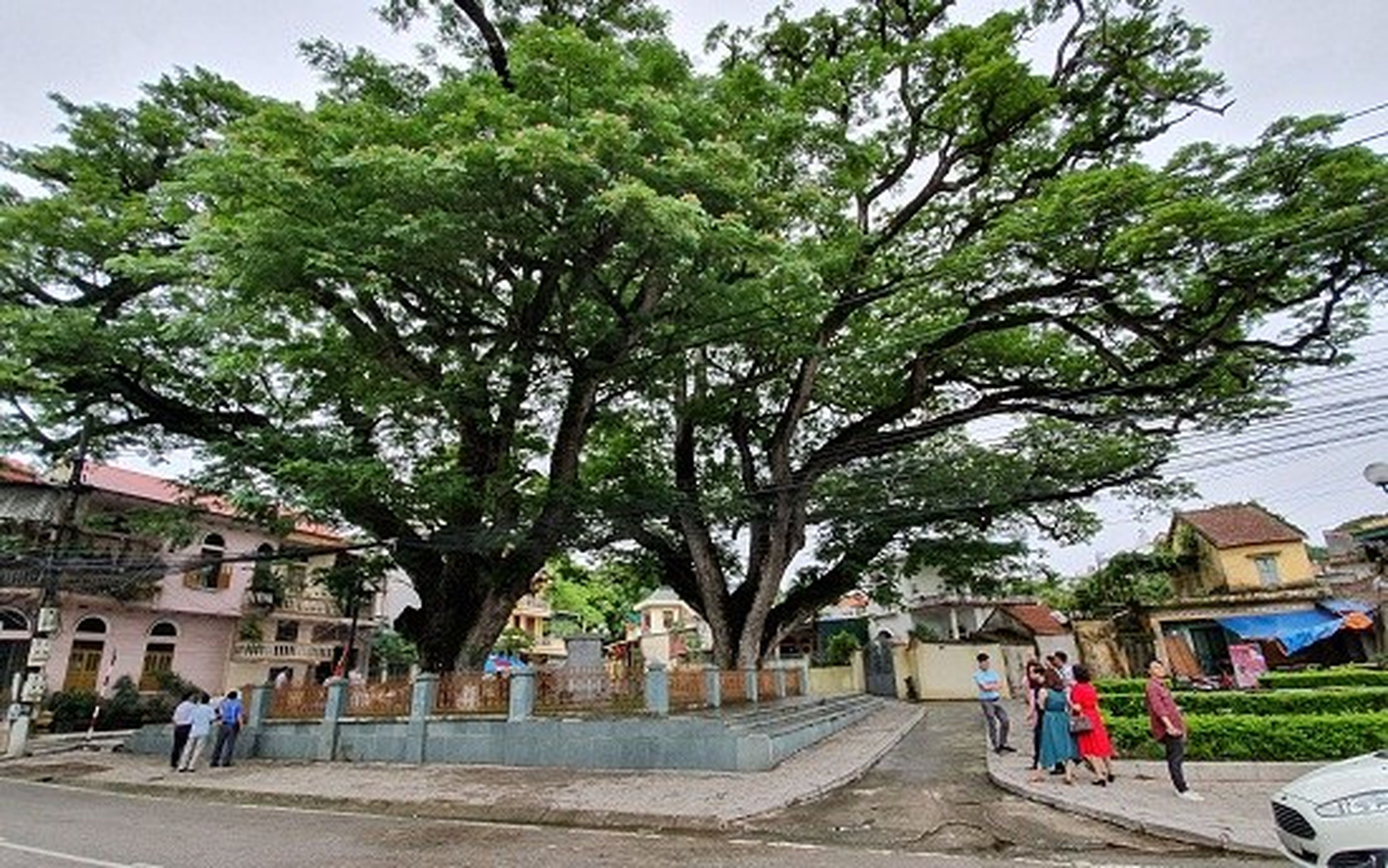 Bach Dang Victory Historical Site – Where Glorious Pages of History Were Written - Hình 8