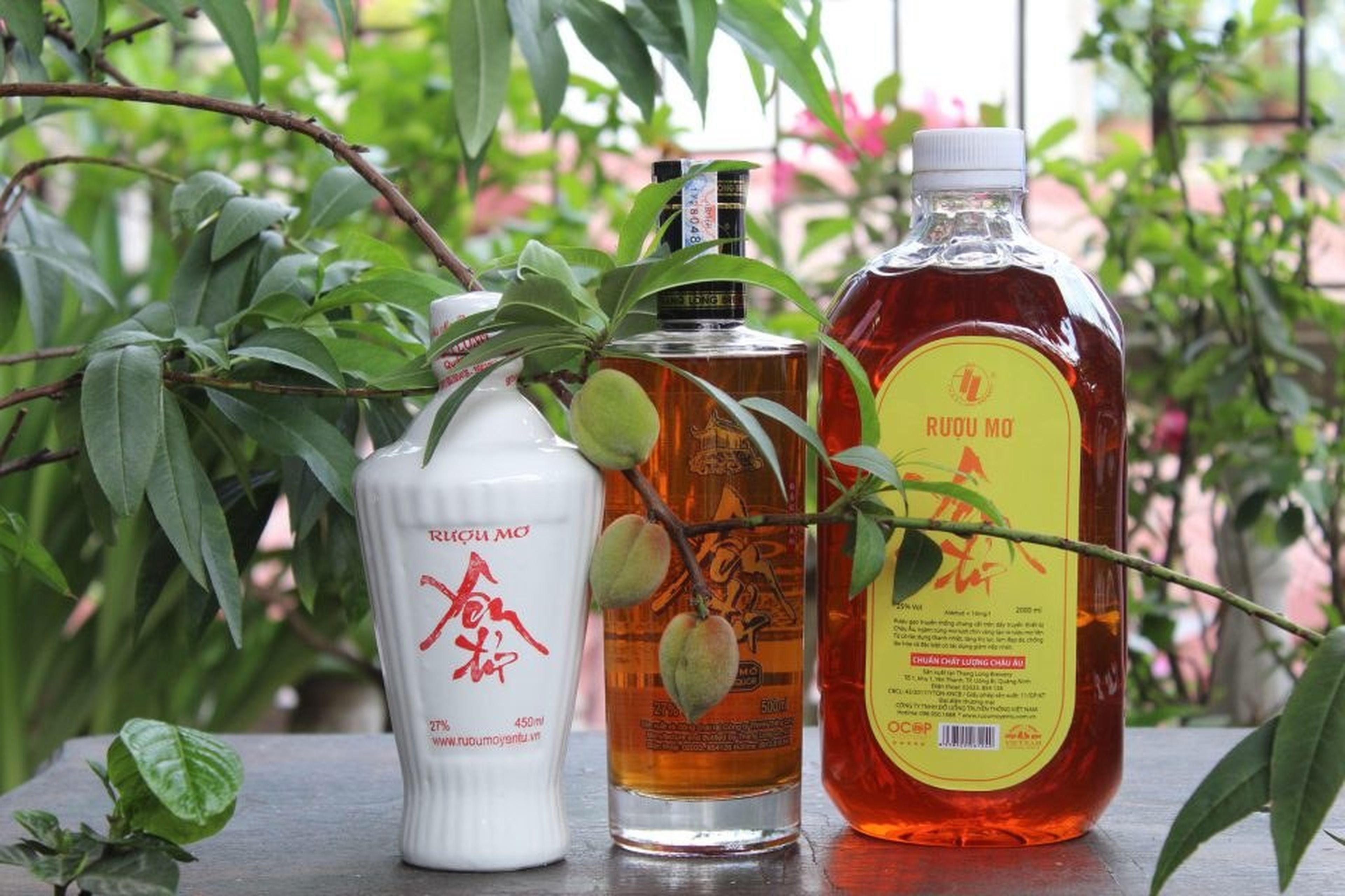 Traveling to Yen Tu, Quang Ninh? Remember to Bring Back These Local Specialties - Hình 6
