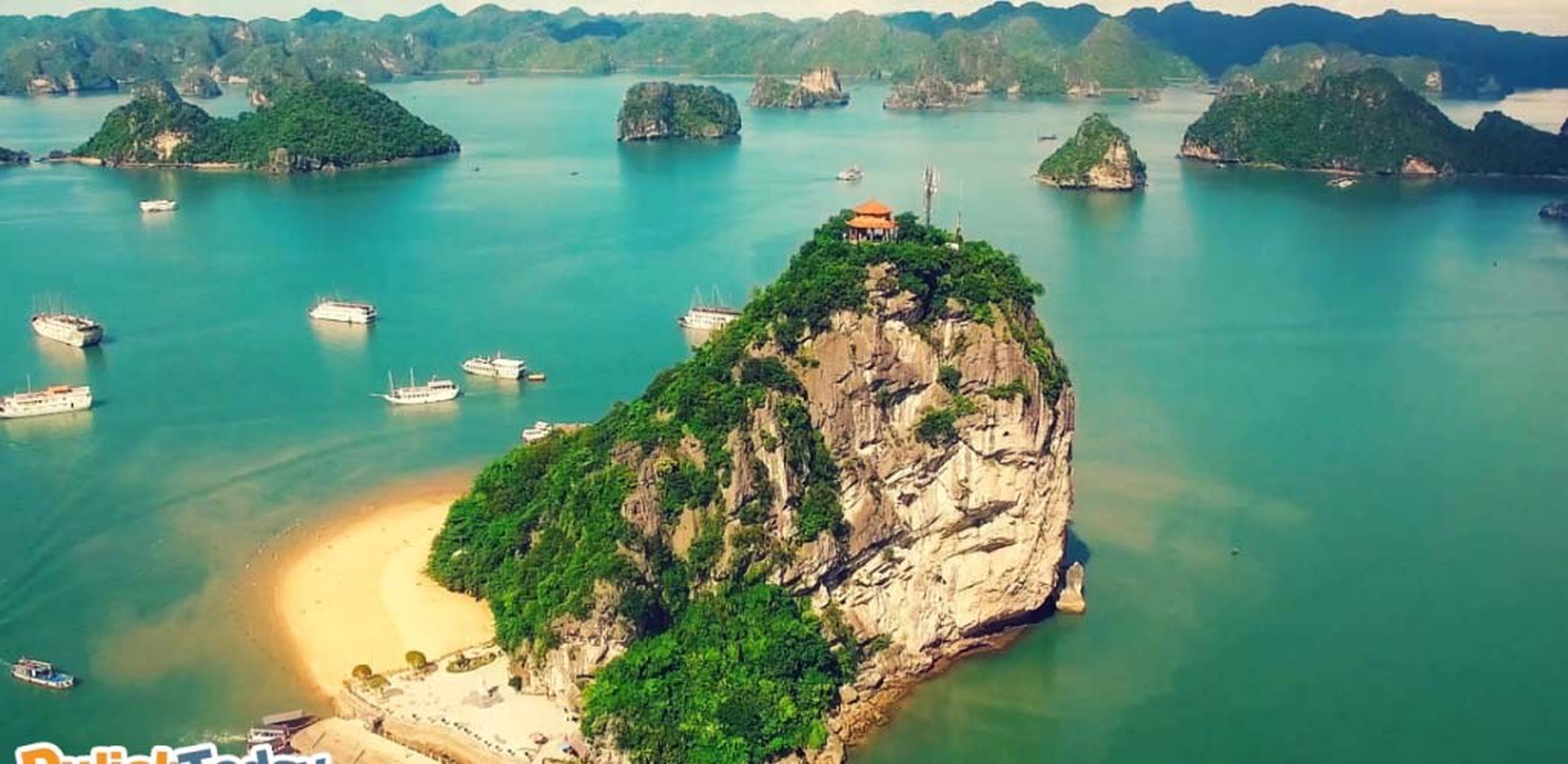 Kinh nghiệm du lịch Vịnh Hạ Long 2026: Giá vé & Lịch trình - Hình 16