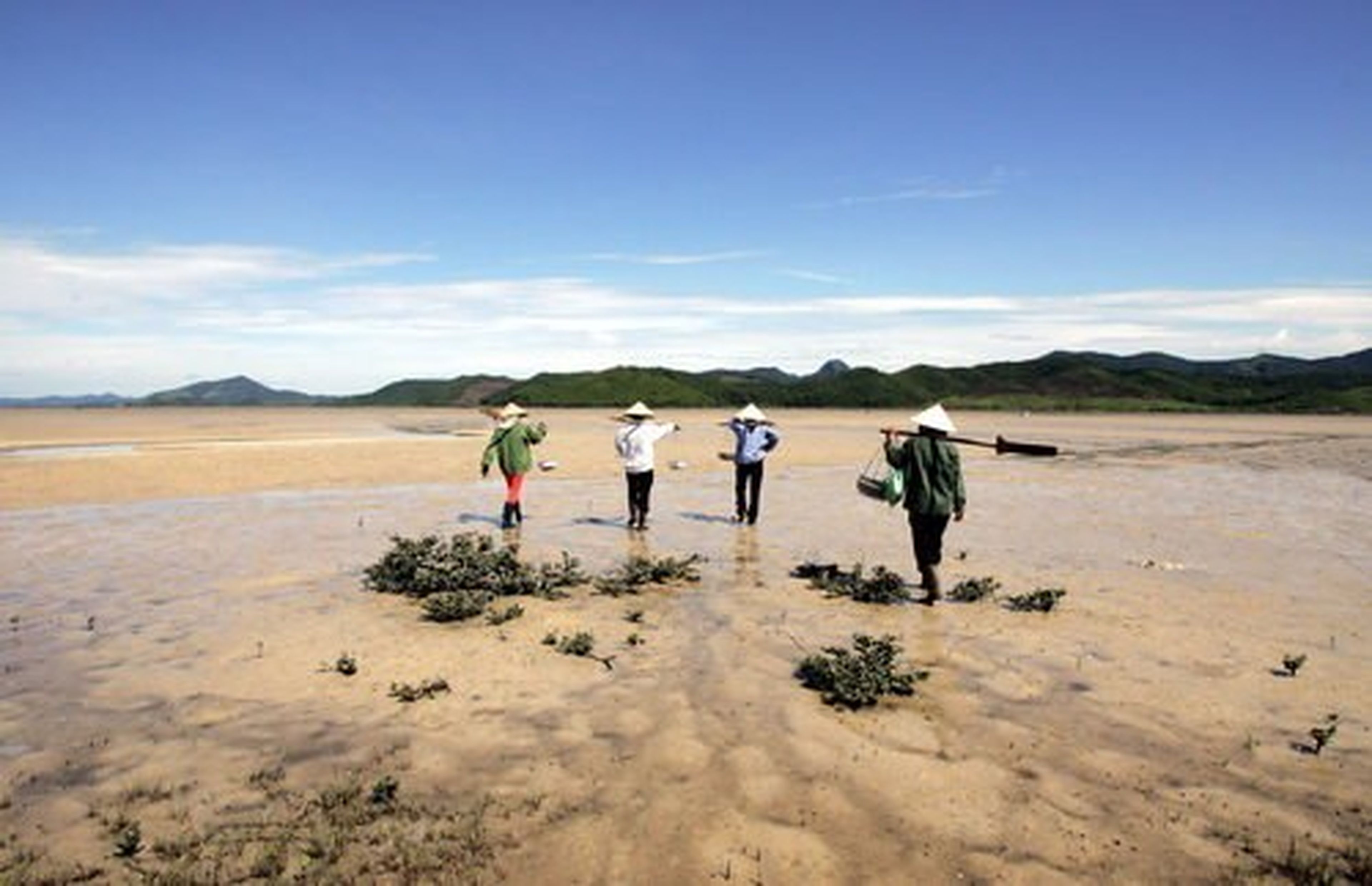 An Unforgettable Vân Đồn Trip with the Rare and Nutritious Sá Sùng Specialty - Hình 11