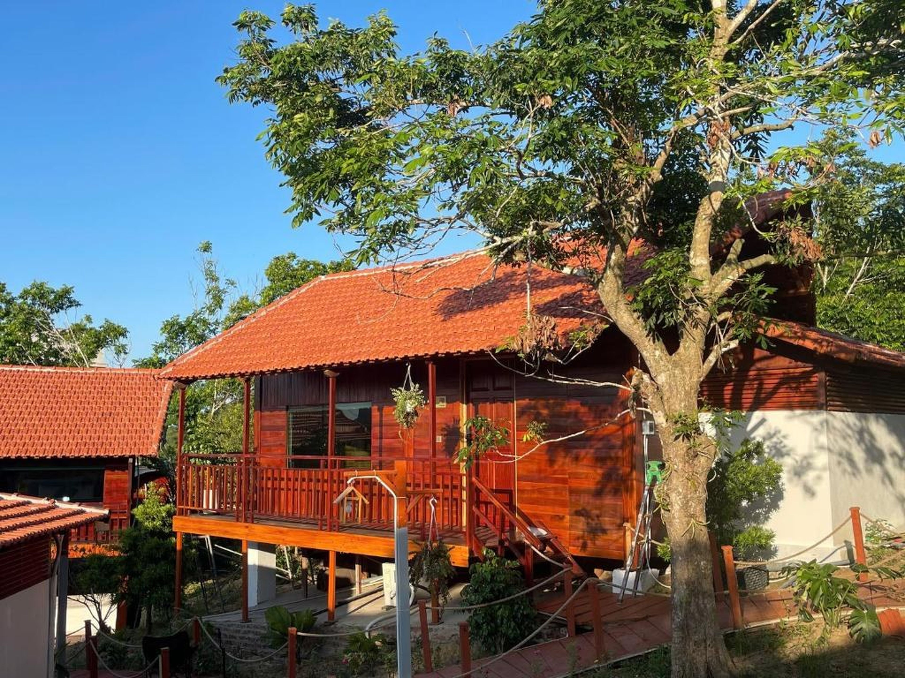 CO TO NATURE resort - Hình 6