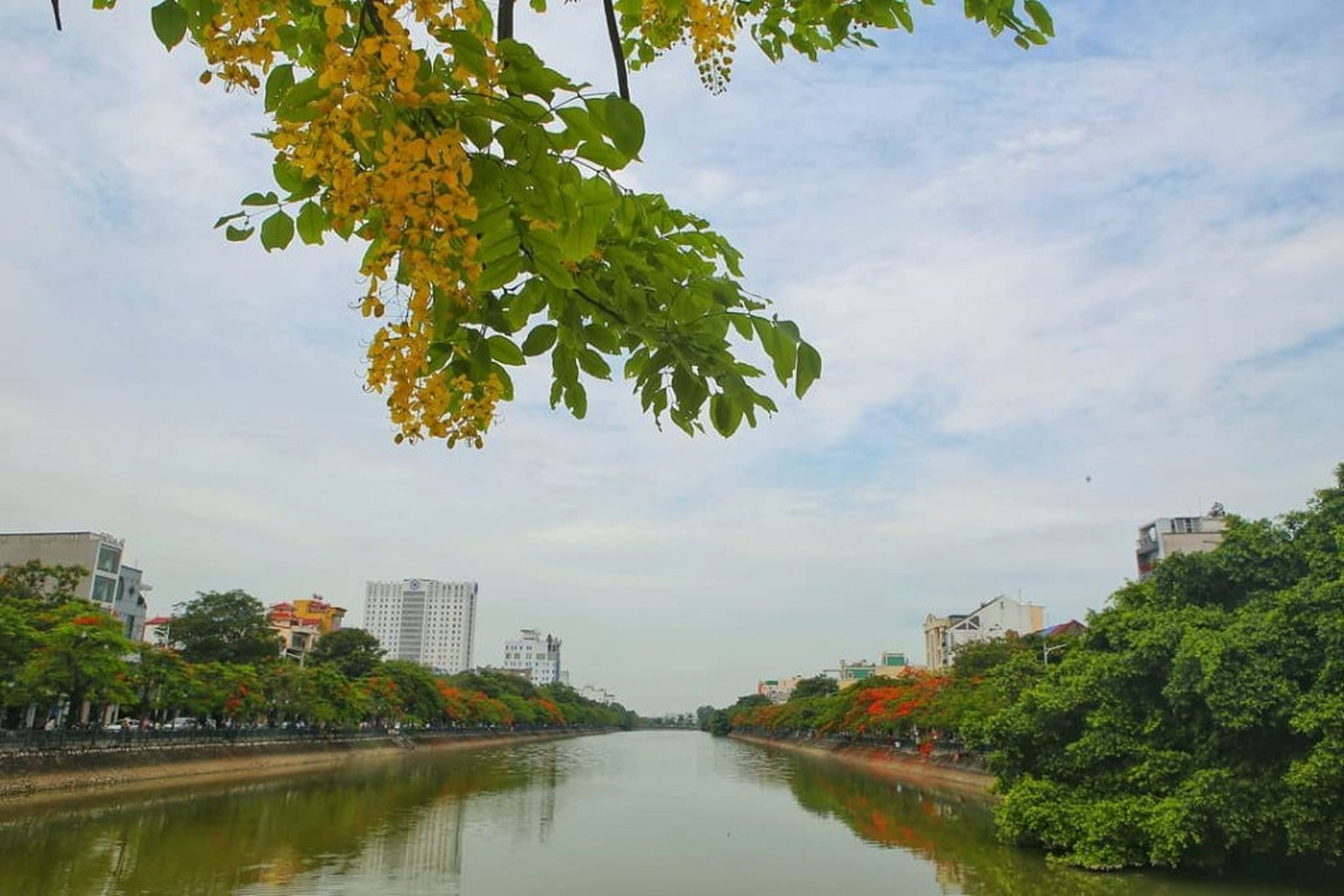 Tam Bạc湖——“红凤凰城”的诗意象征 - Hình 7