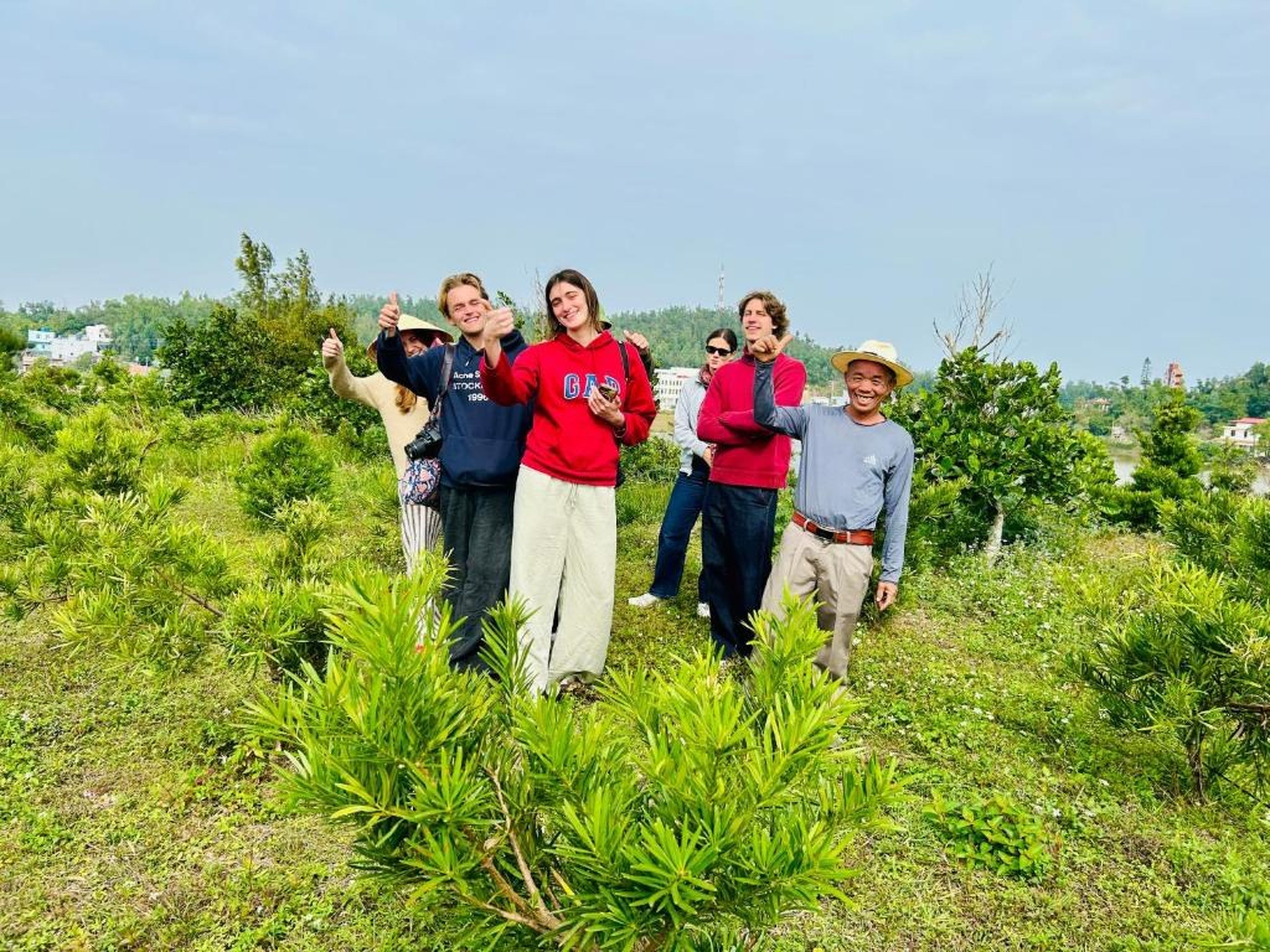 Cô Tô Lương Chi - Hình 18