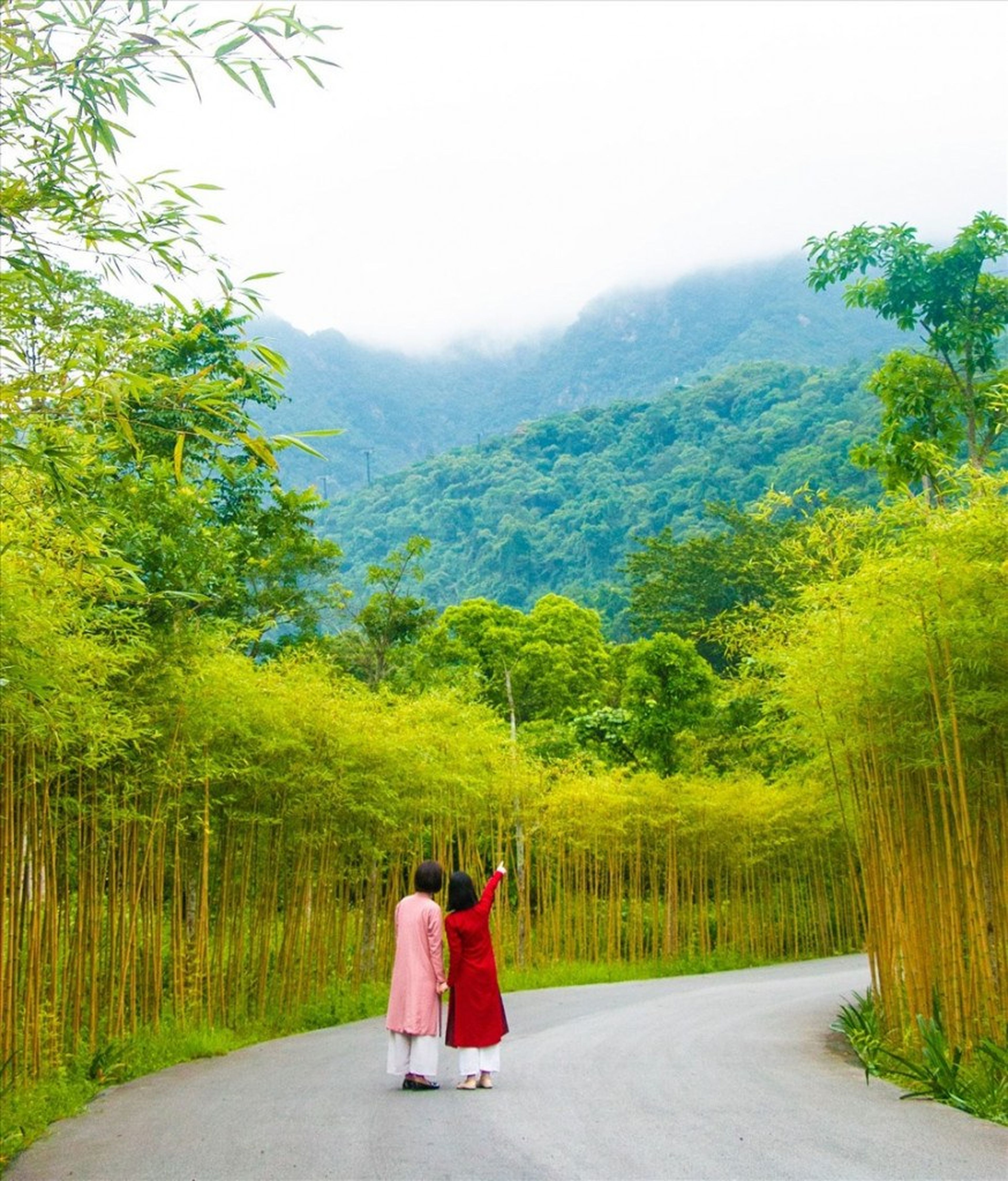 Yên Tử Scenic Site – Sacred Land, Birthplace of the Trúc Lâm Zen Sect - Hình 13
