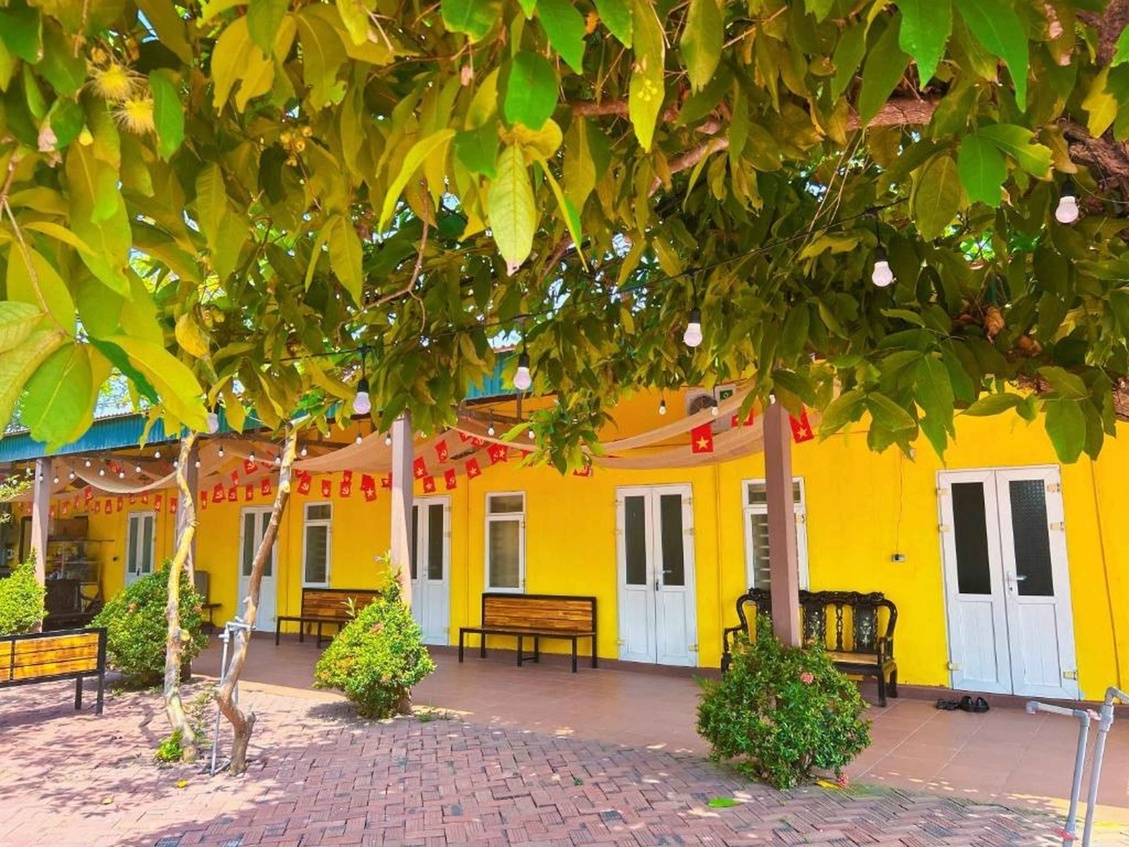 Cô Tô Lương Chi - Hình 29