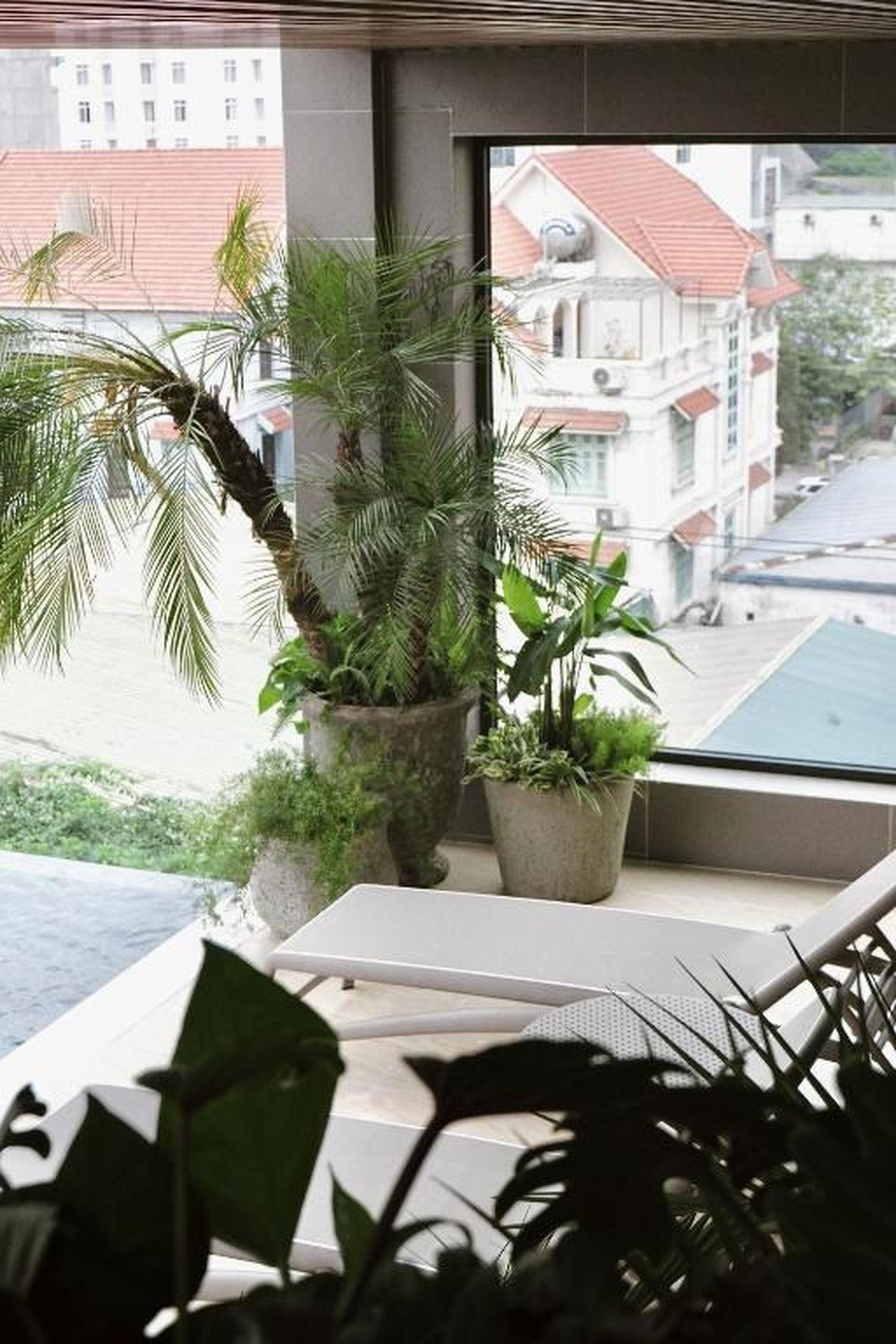 D'Lecia Ha Long Hotel - Hình 30