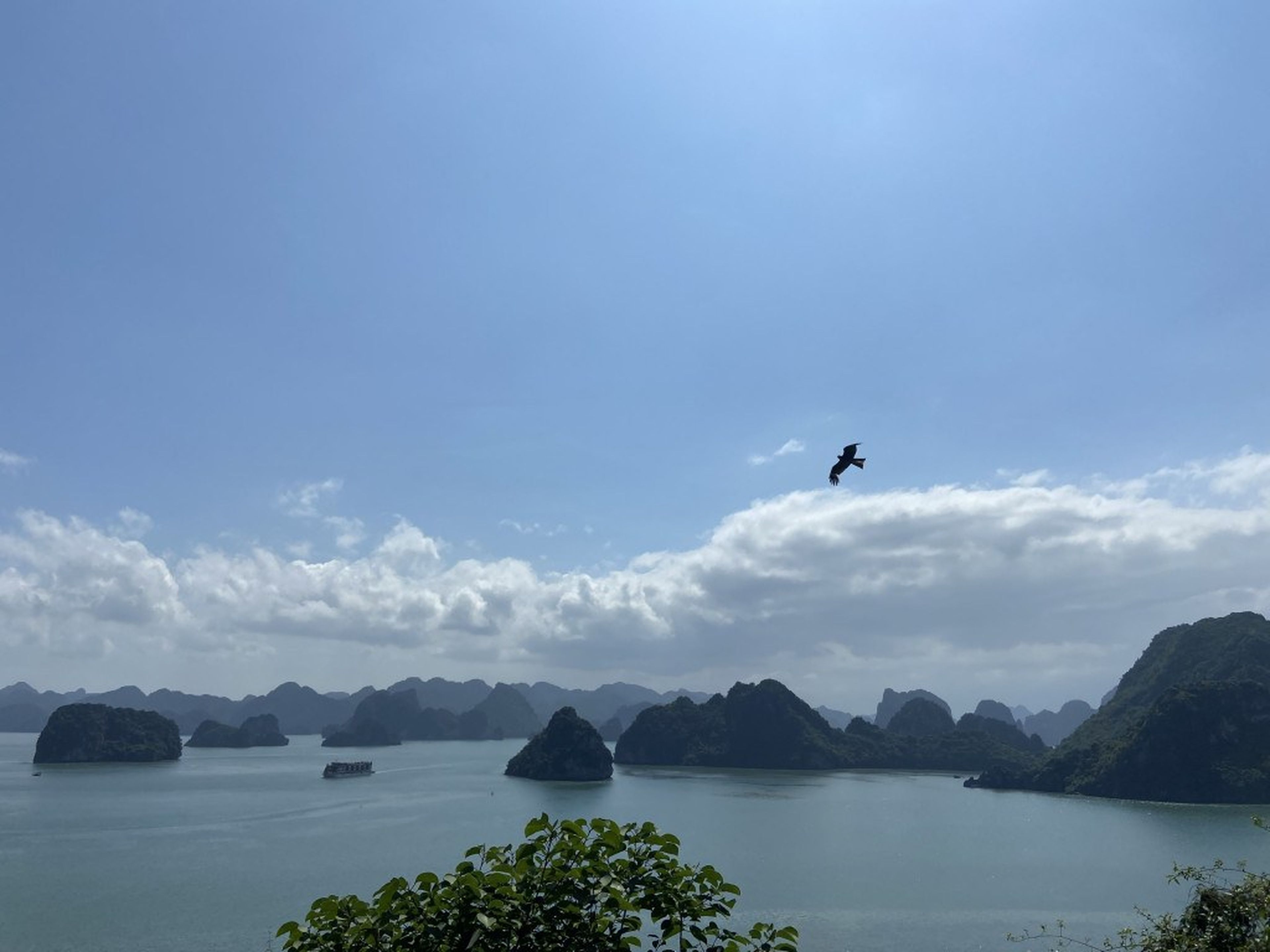1-Day Ha Long Tour: Luxury Leisure on Hana Premium Cruise - Hình 10
