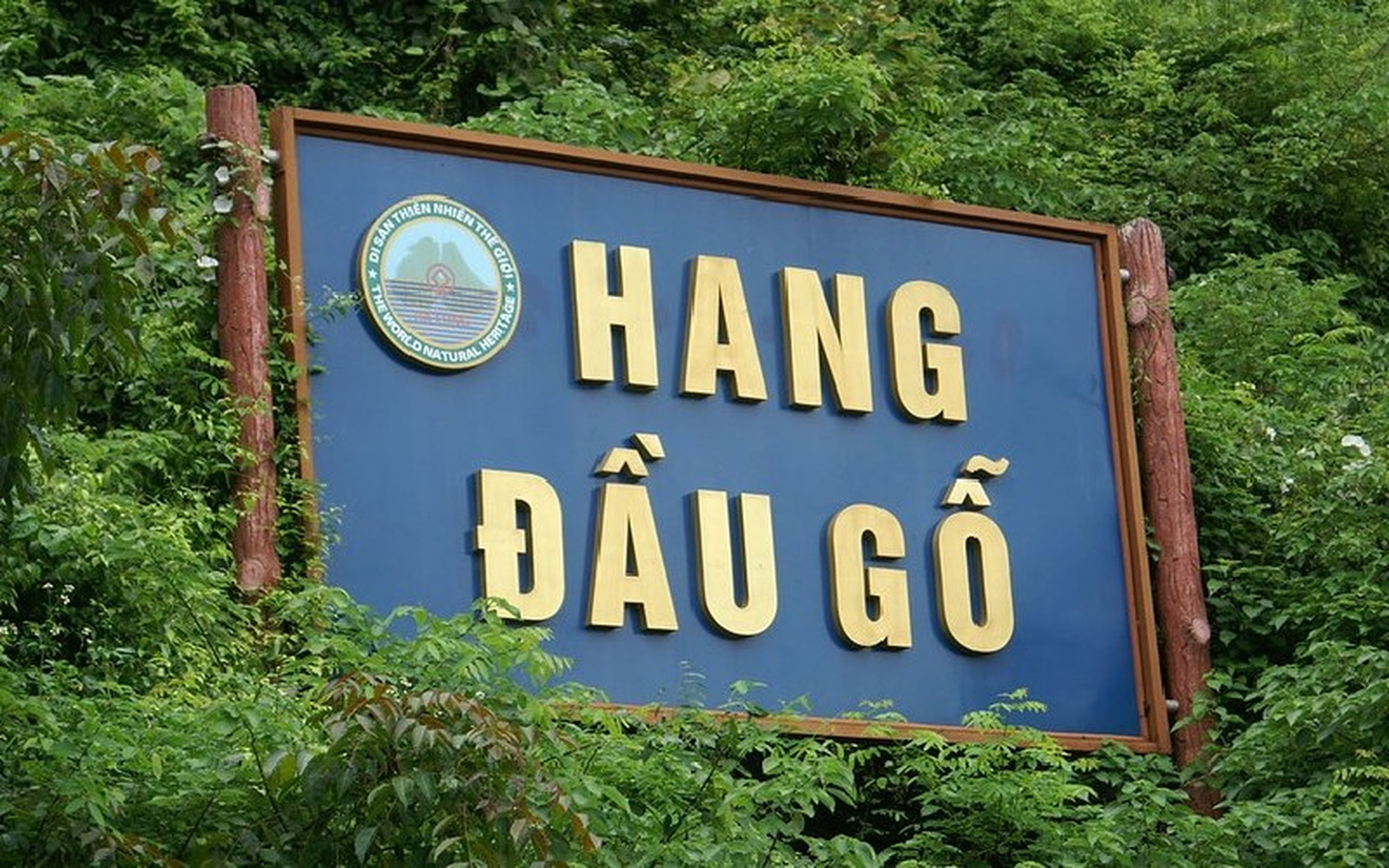 Khám phá hang Đầu Gỗ huyền bí giữa lòng vịnh Hạ Long - Hình 8
