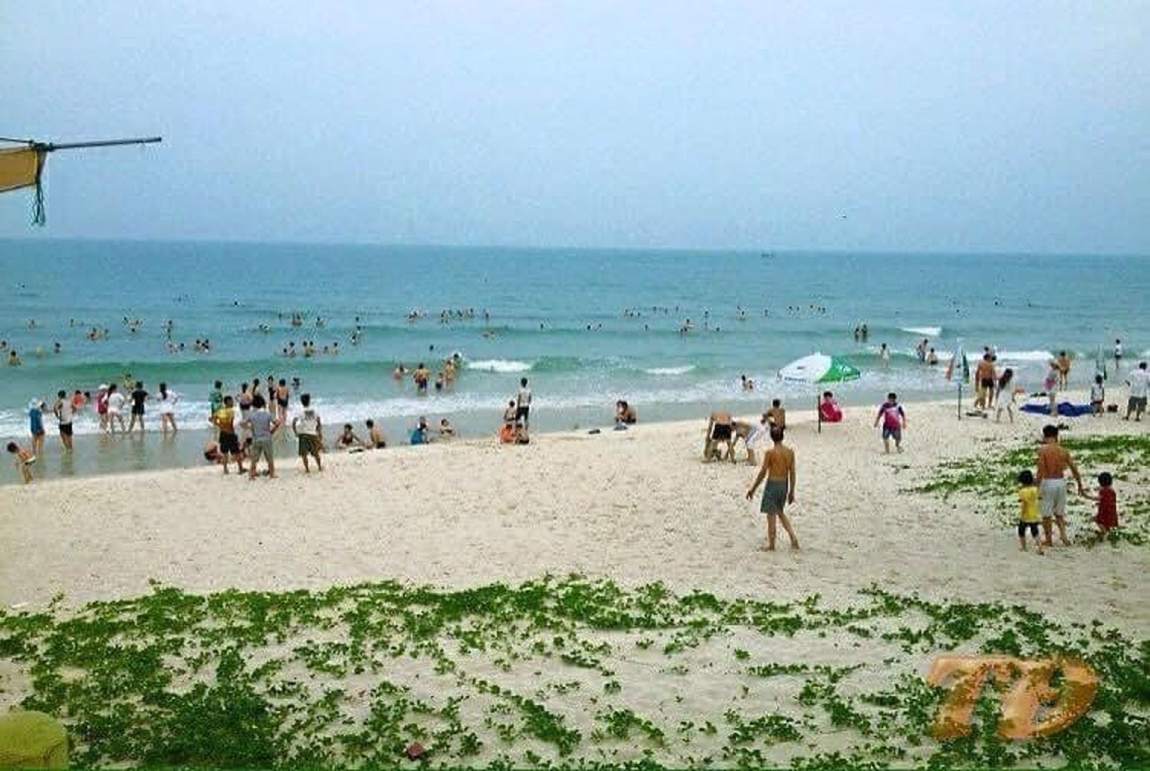 Nhà nghỉ phương thảo - Hình 44