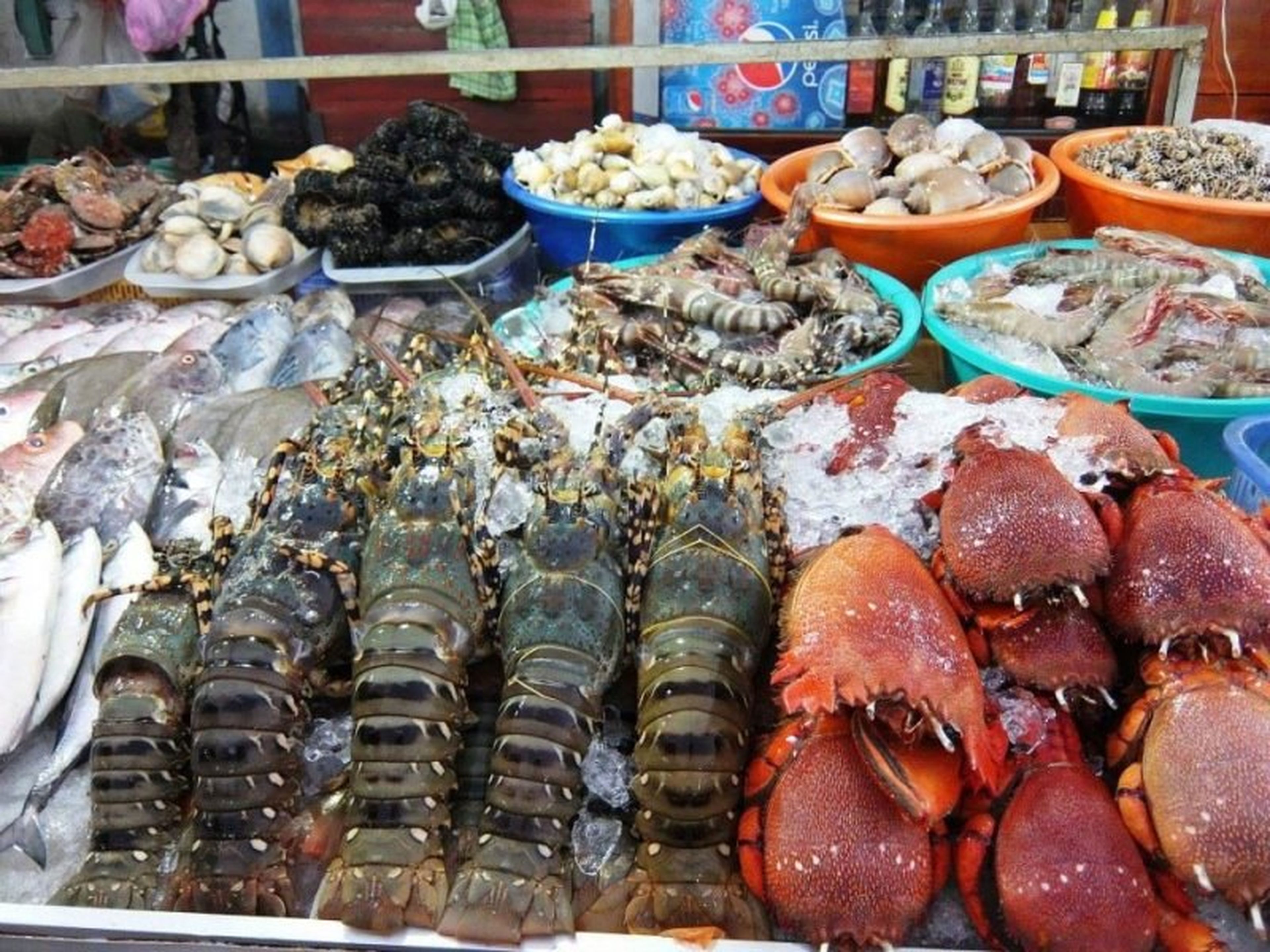 Cùng thả mình vào sự náo nhiệt đông vui của Chợ đêm Hạ Long - Hình 1