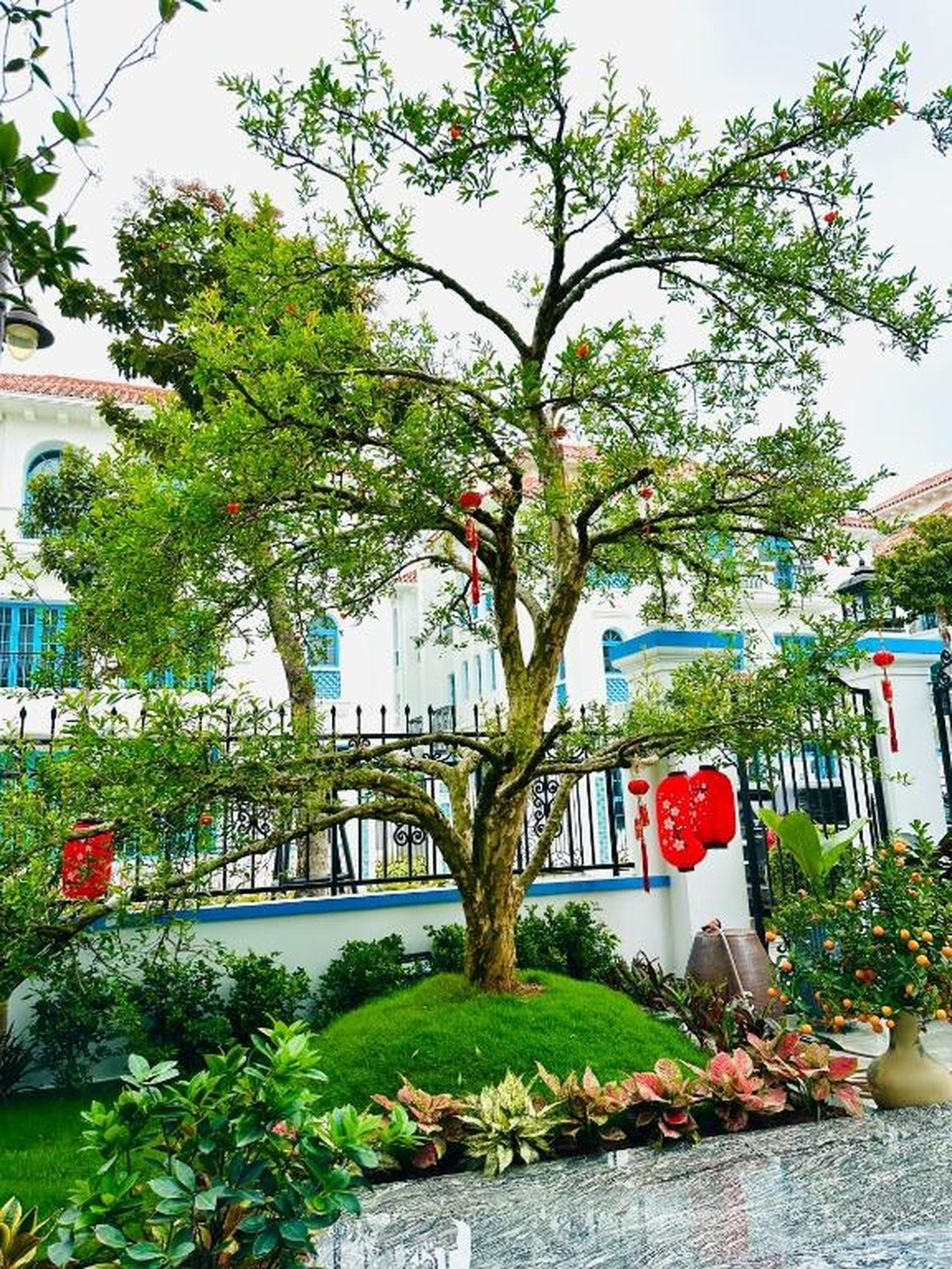 The View Villa Hạ Long Bay - Hình 22