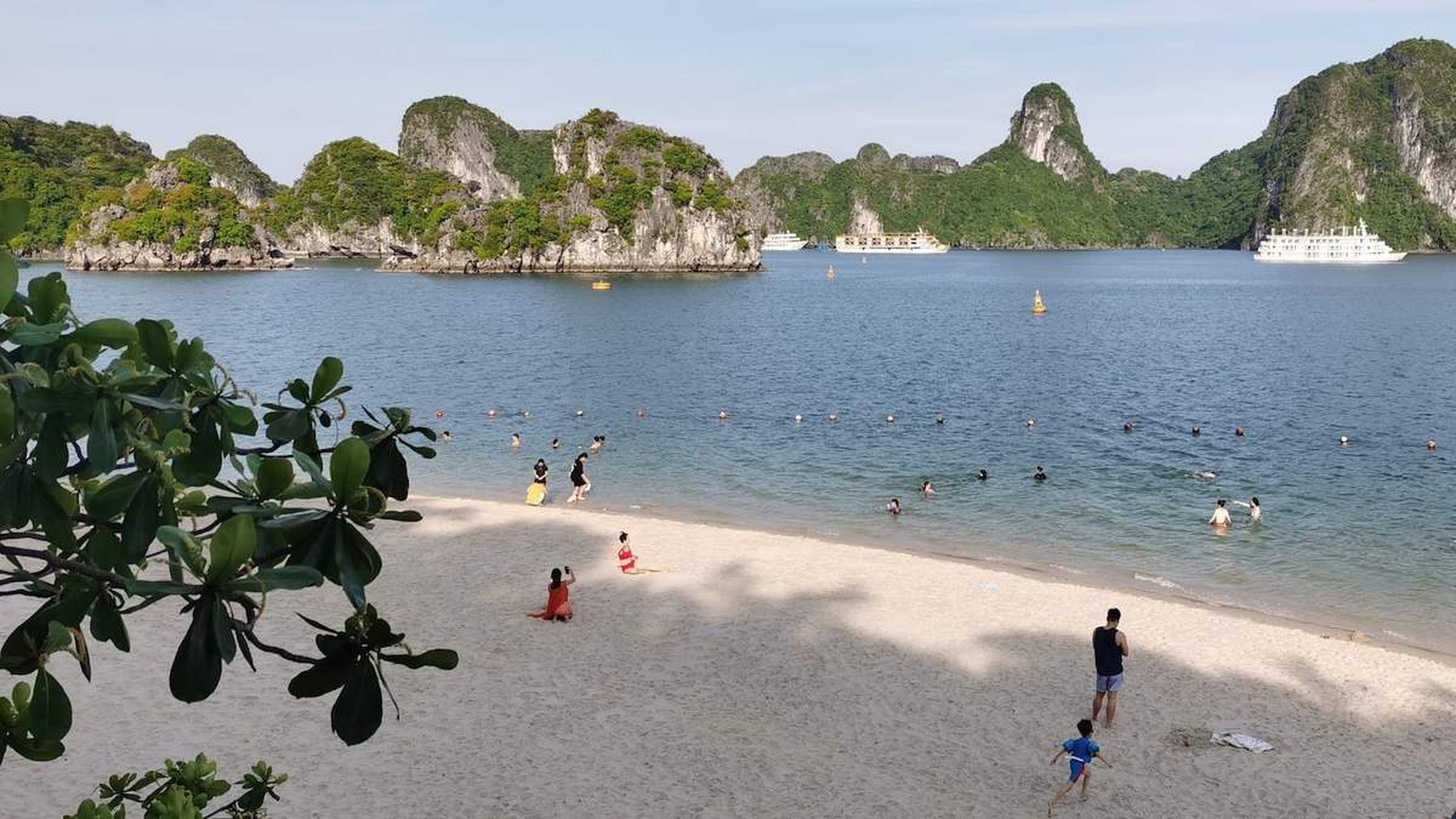 Đảo Ti Tốp: Ngắm nhìn hòn đảo bình yên giữa vịnh Hạ Long - Hình 8