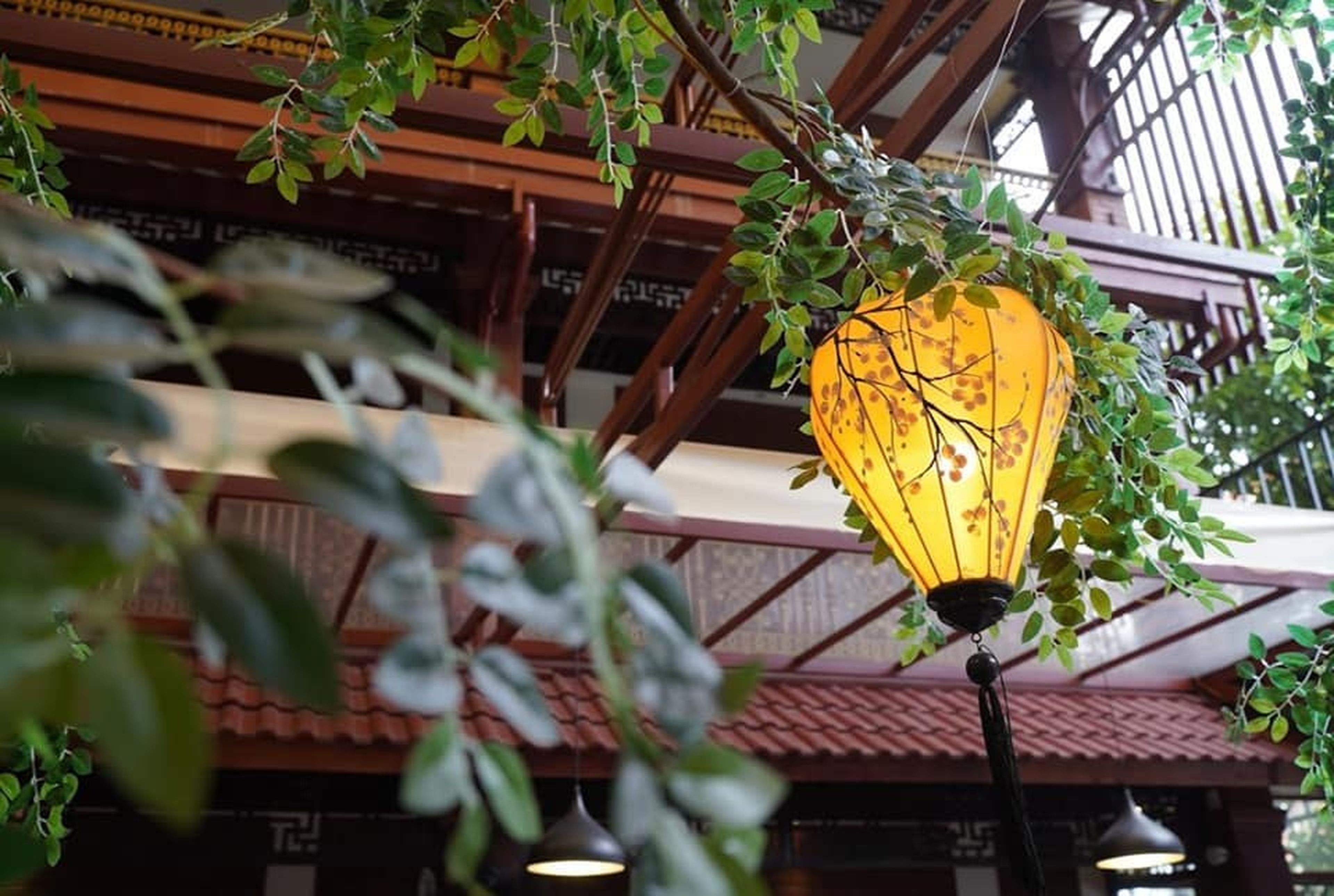 Discover Delicious Dishes at Trang Gia Vien Restaurants in Uong Bi and Ha Long - Hình 2
