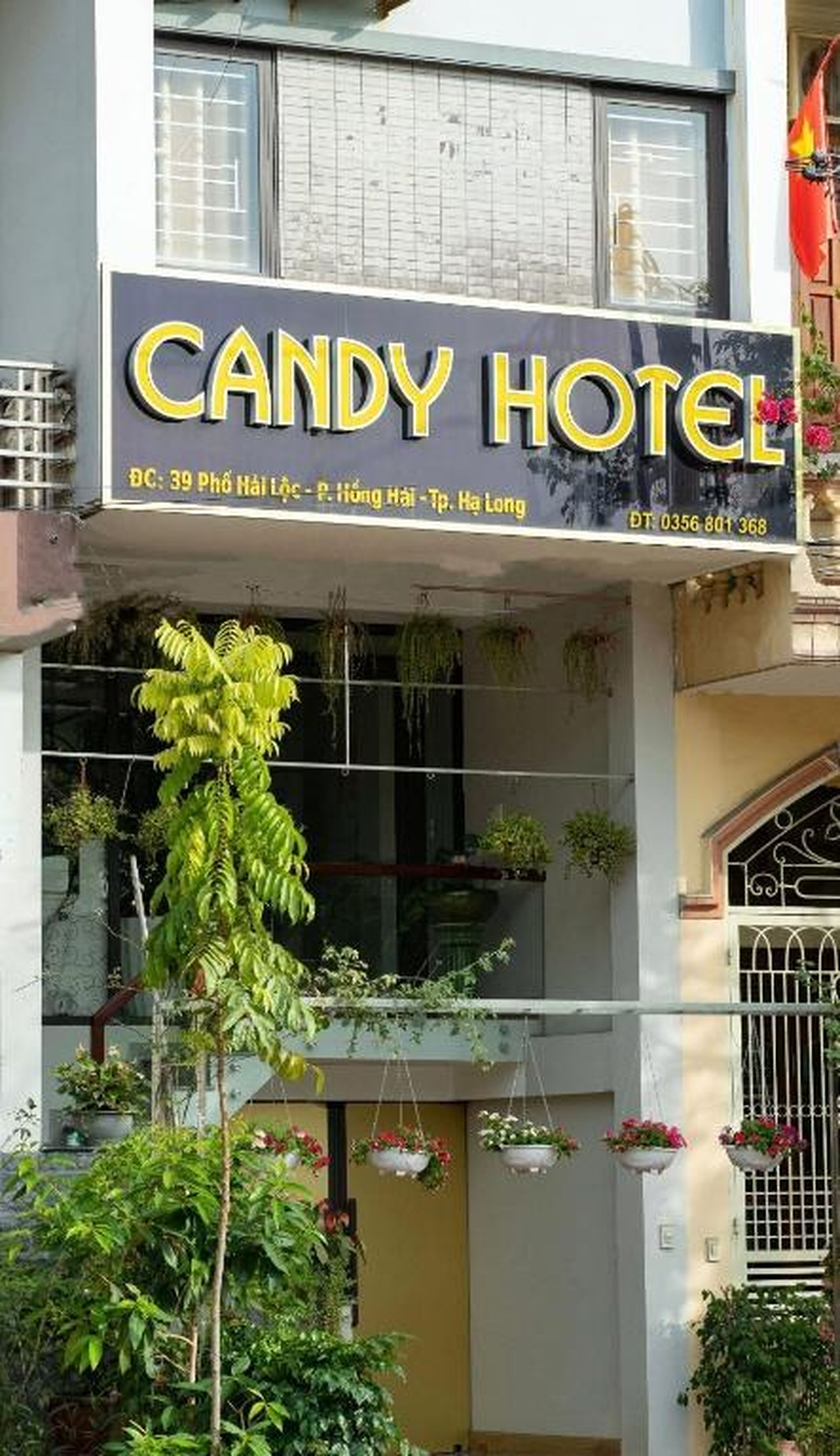Candy Hotel Hạ Long - Hình 40