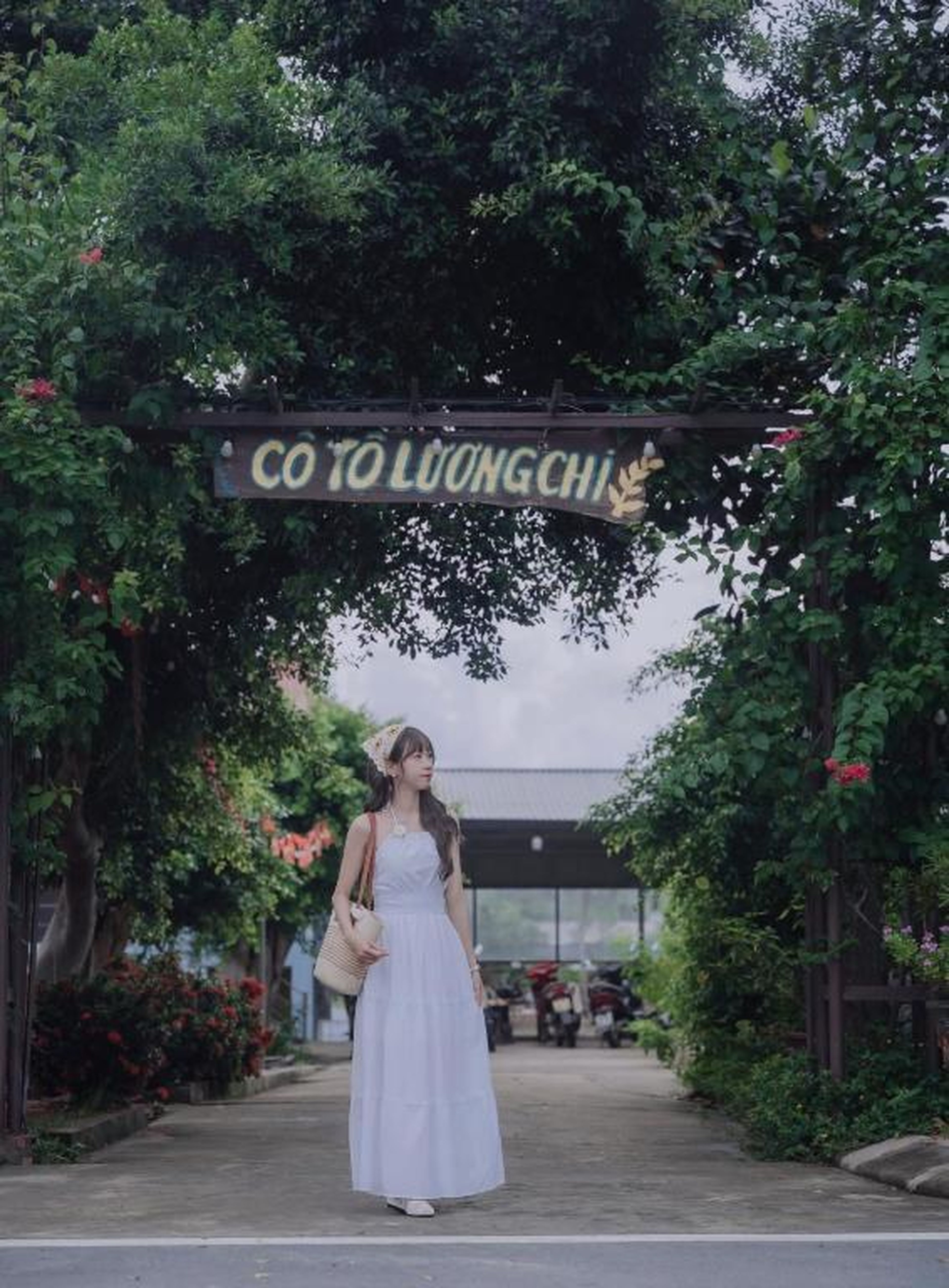 Cô Tô Lương Chi - Hình 40