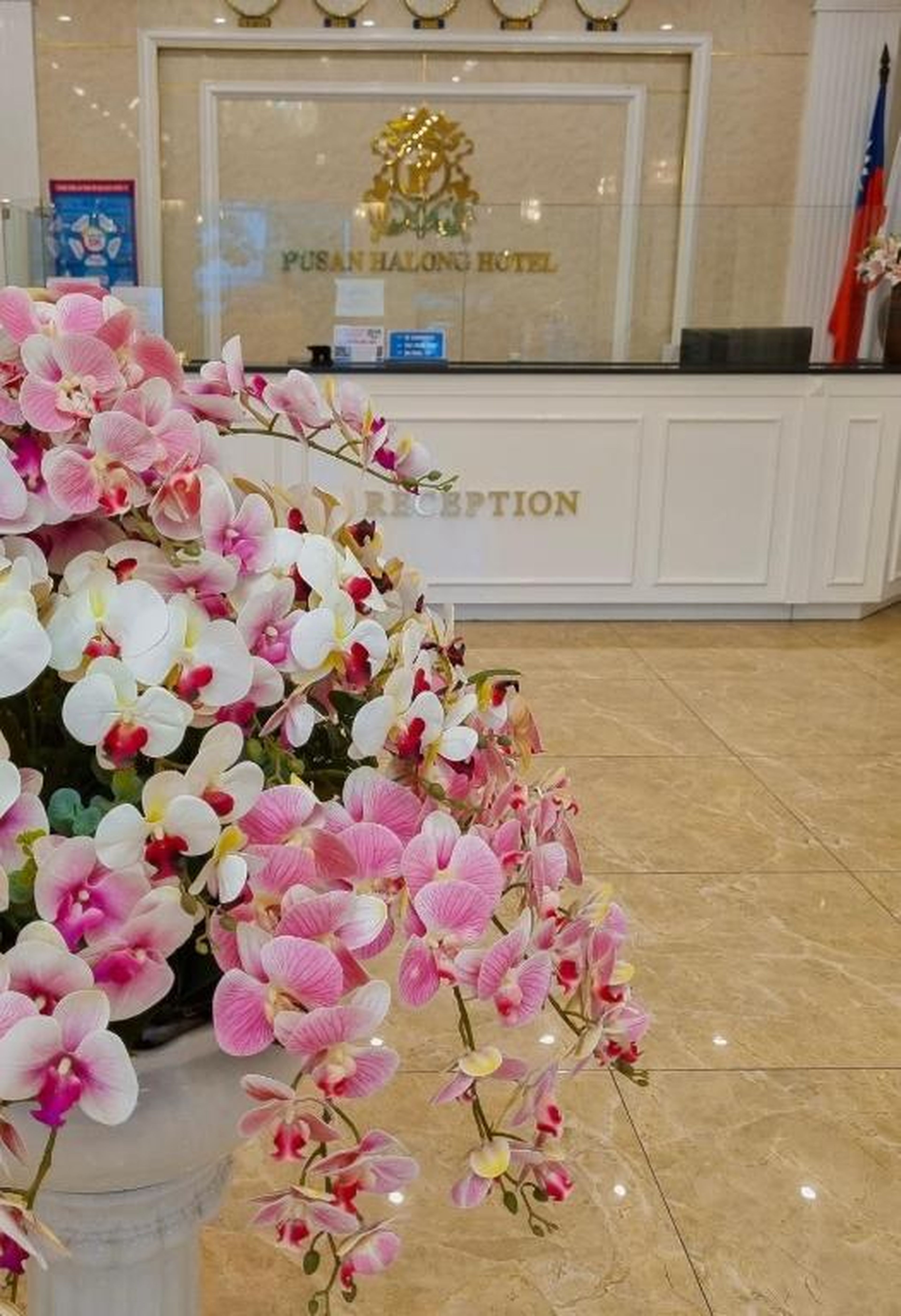 Pusan Halong Hotel - Hình 37