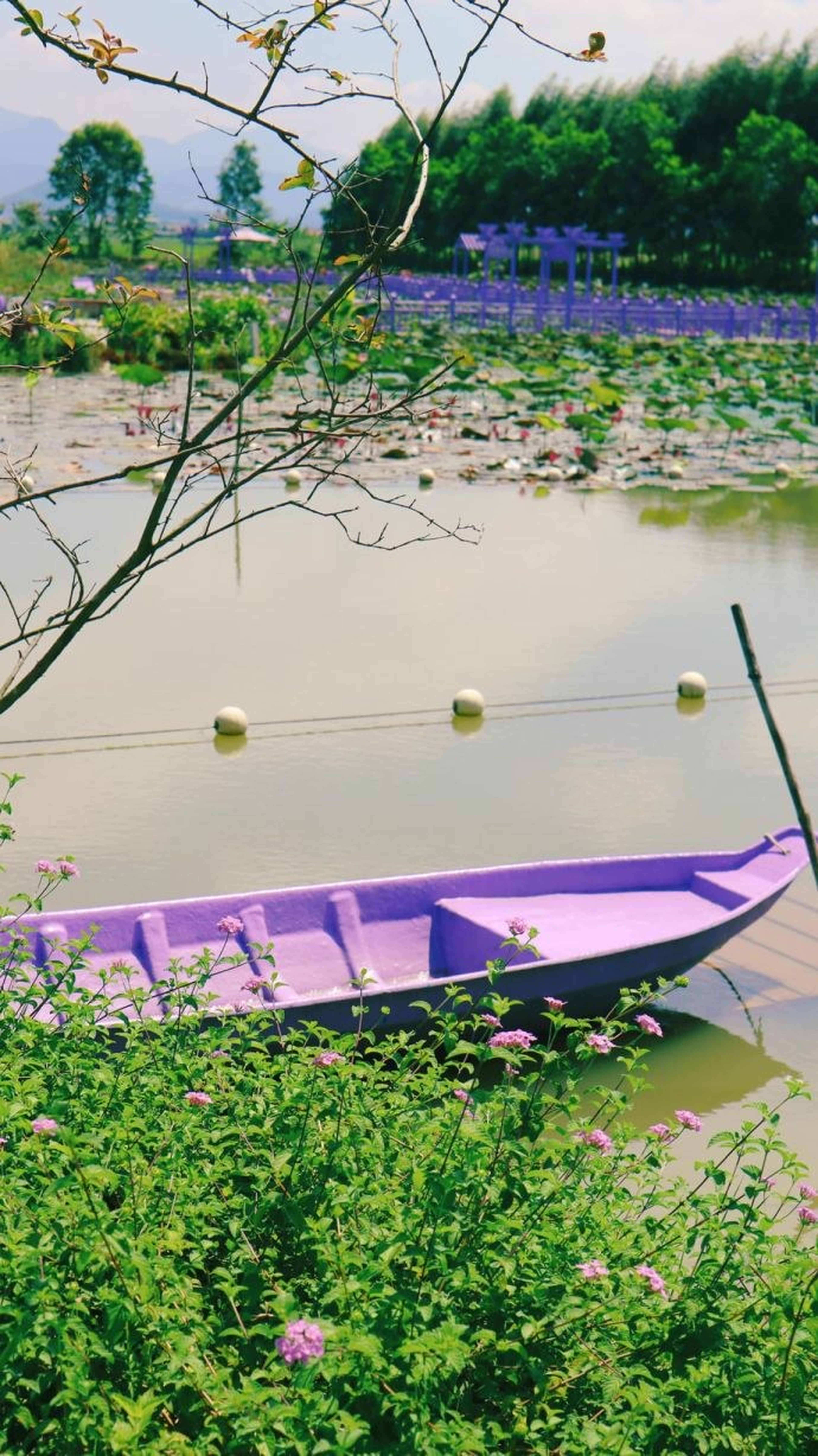 Phá đảo thiên đường vui chơi Quảng Ninh Gate từ A-Z - Hình 6