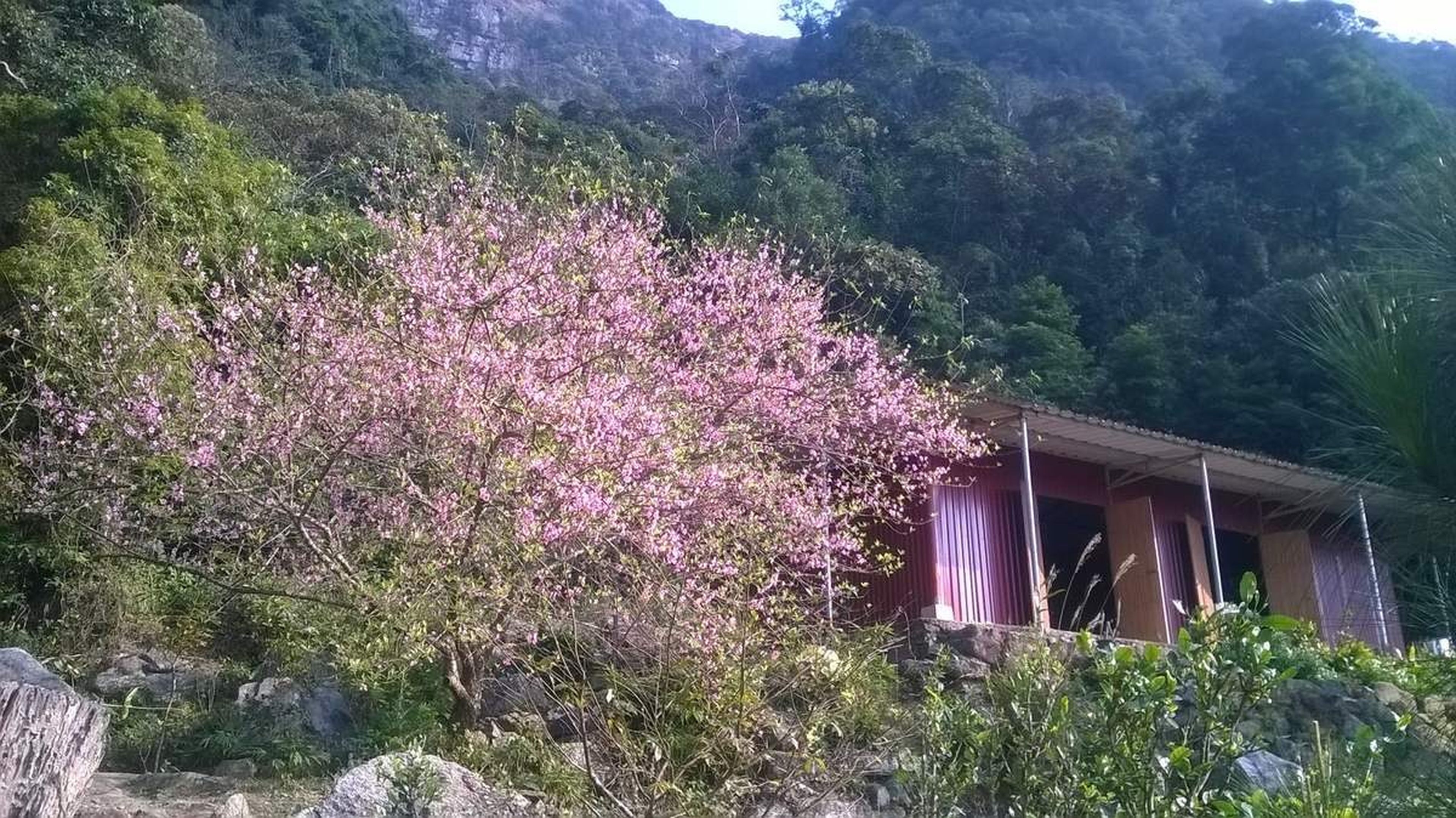 Tham quan chùa Hồ Thiên – Đông Triều cổ kính từ thời Trần - Hình 8