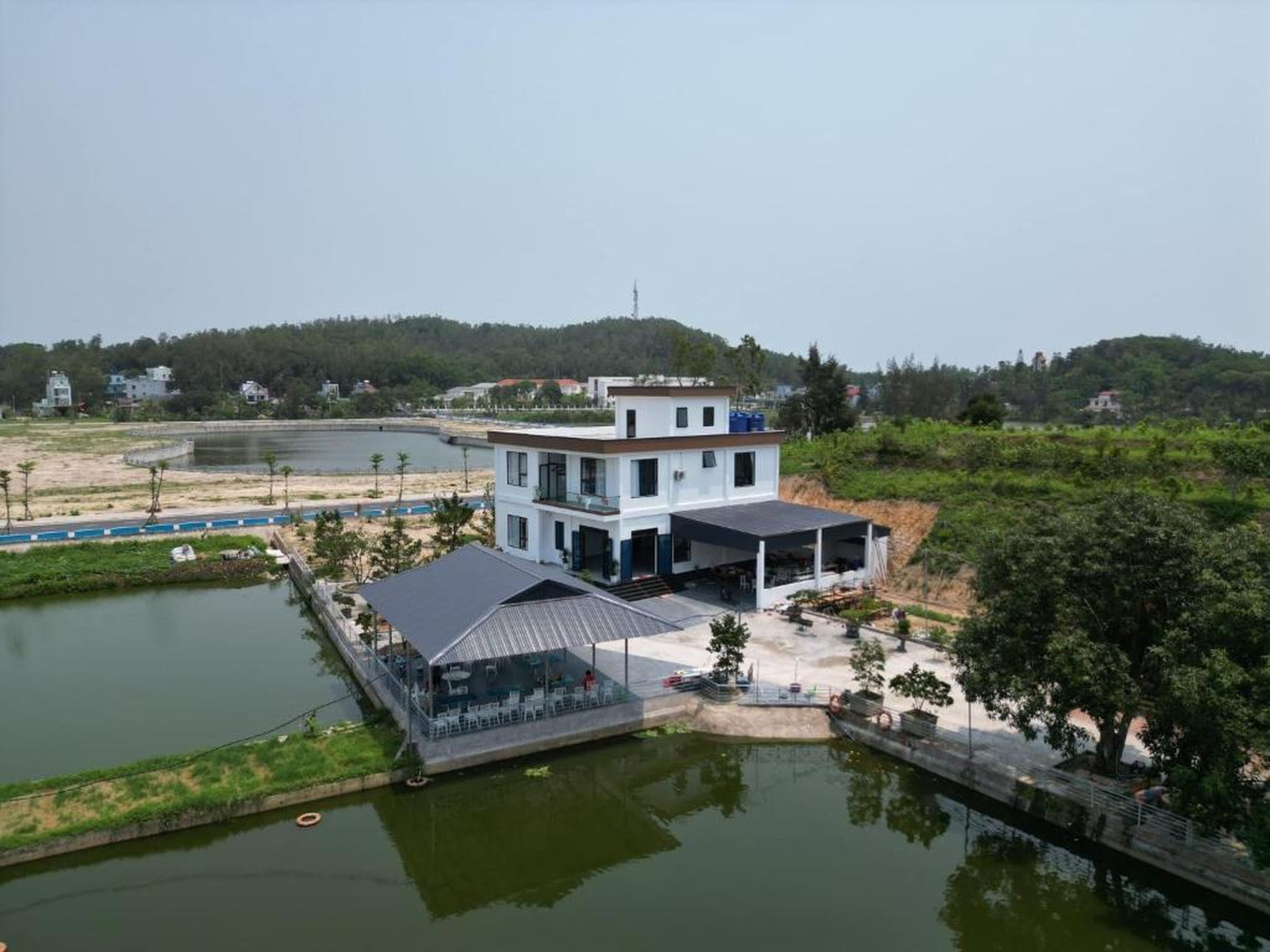 Cô Tô Lương Chi - Hình 1
