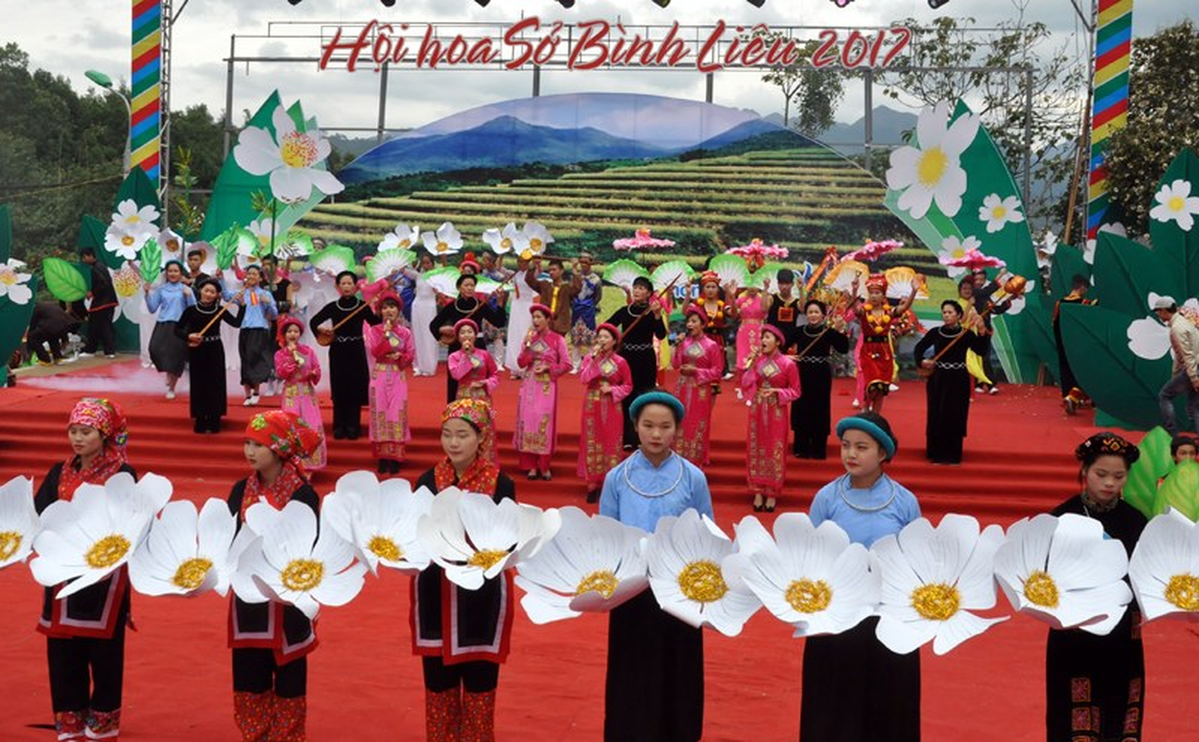 Du lịch Bình Liêu mê mẩn mùa hoa sở nở phủ trắng núi rừng - Hình 7