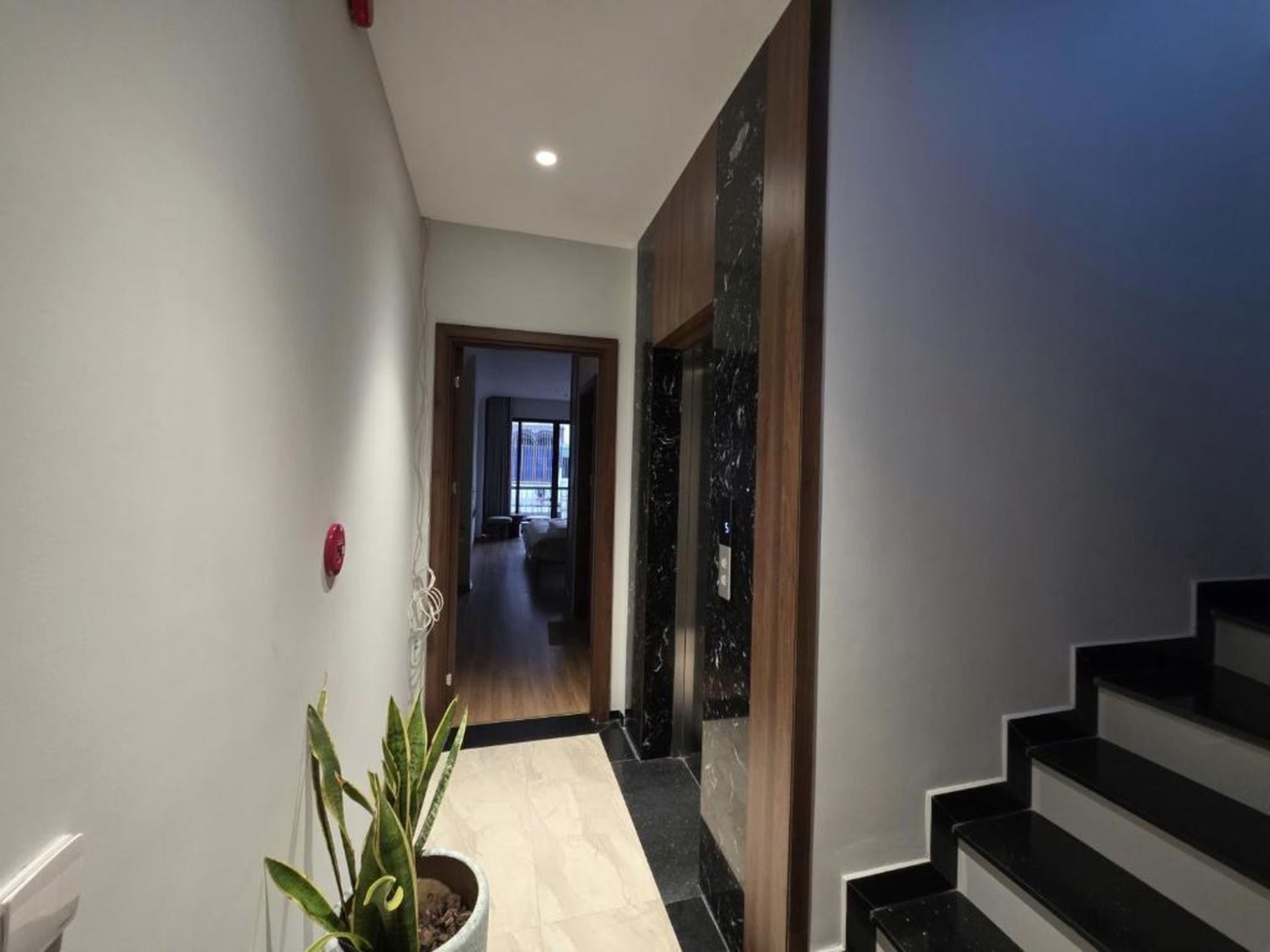 Cozy Nest Homestay Ha Long - Hình 11