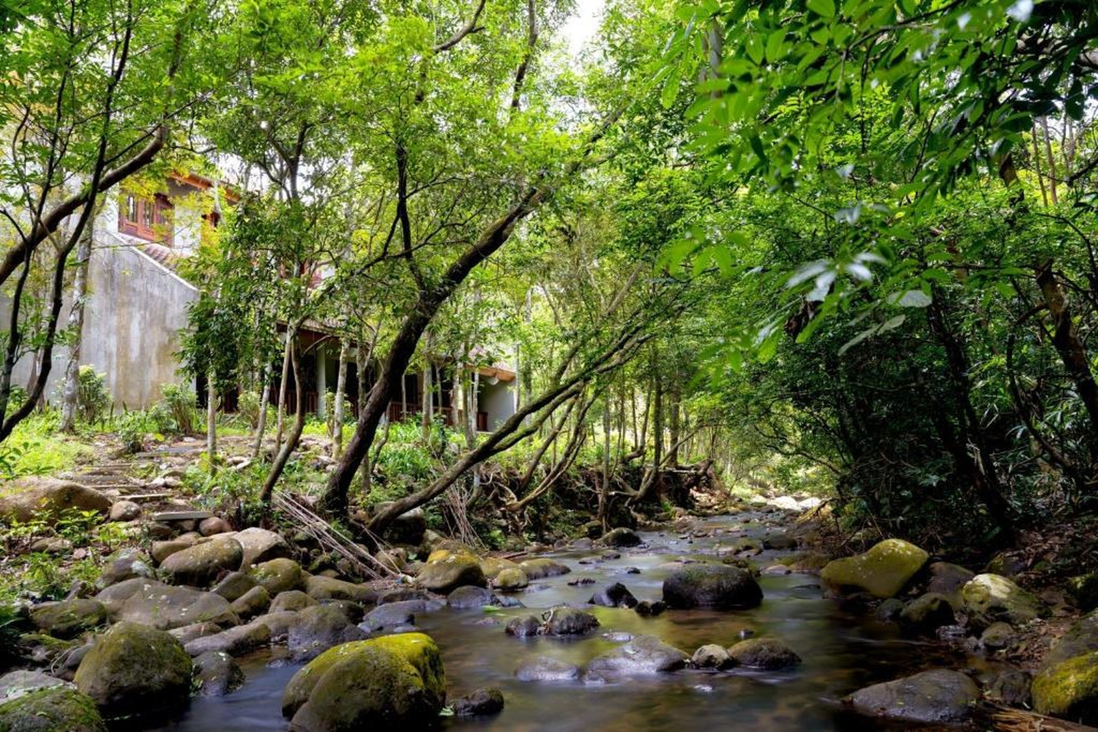 Làng Nương Yên Tử (Yên Tử Village) - Hình 49