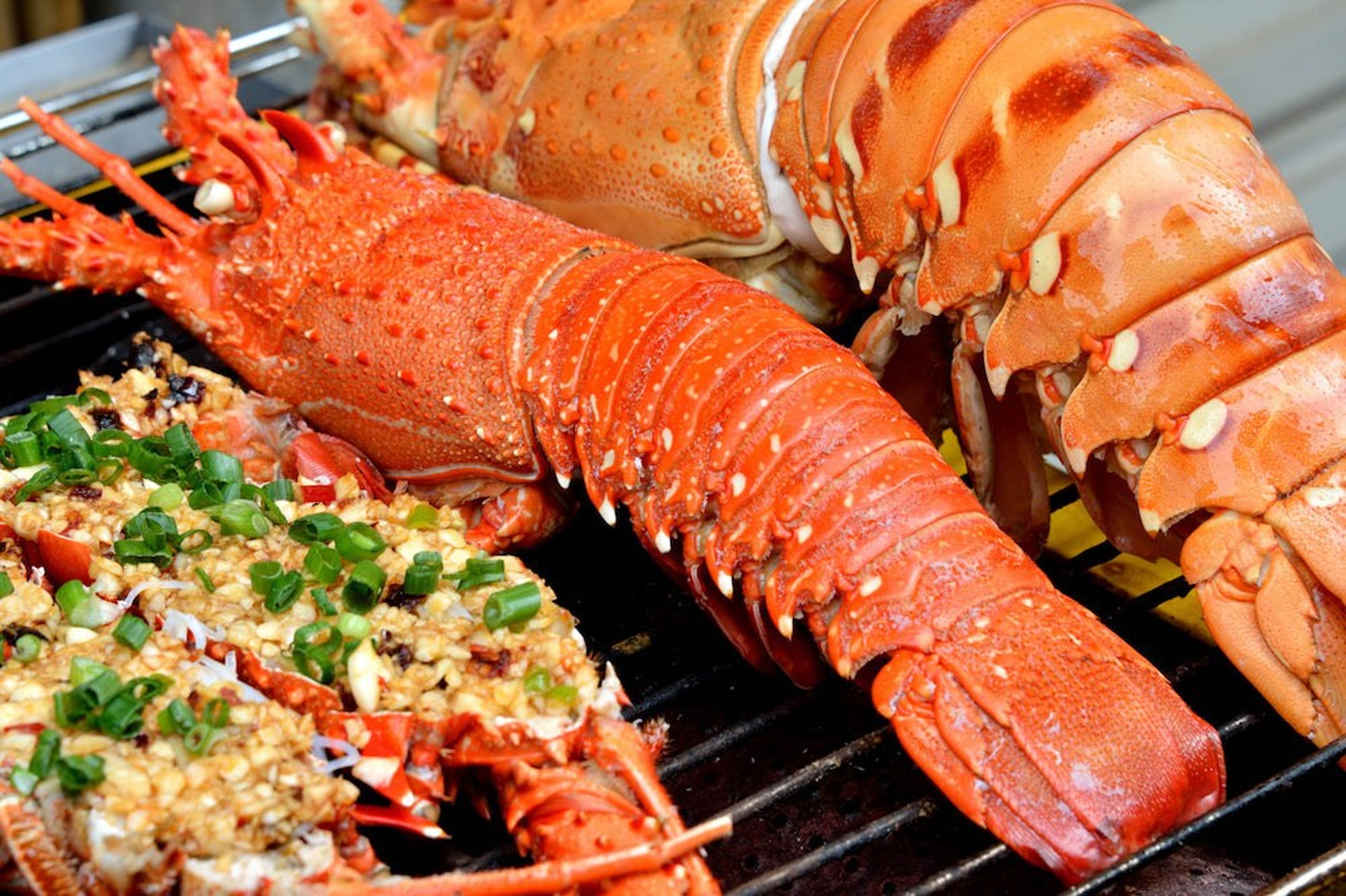Nhà Hàng Phương Nam Hạ Long – Chốn dừng chân hữu tình cho mọi du khách - Hình 8