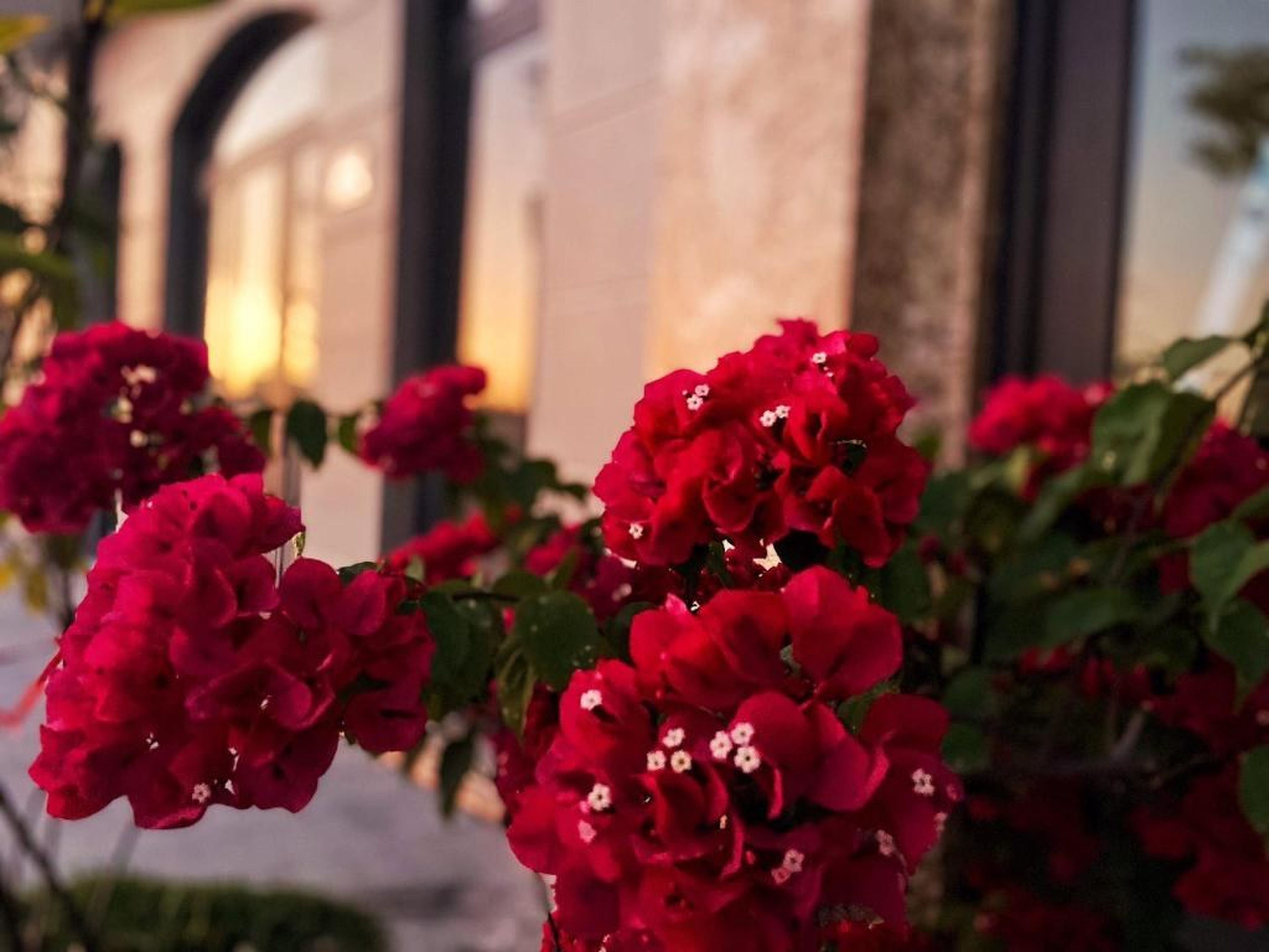 Elysinam Boutique Hotel Ha Long - Hình 40