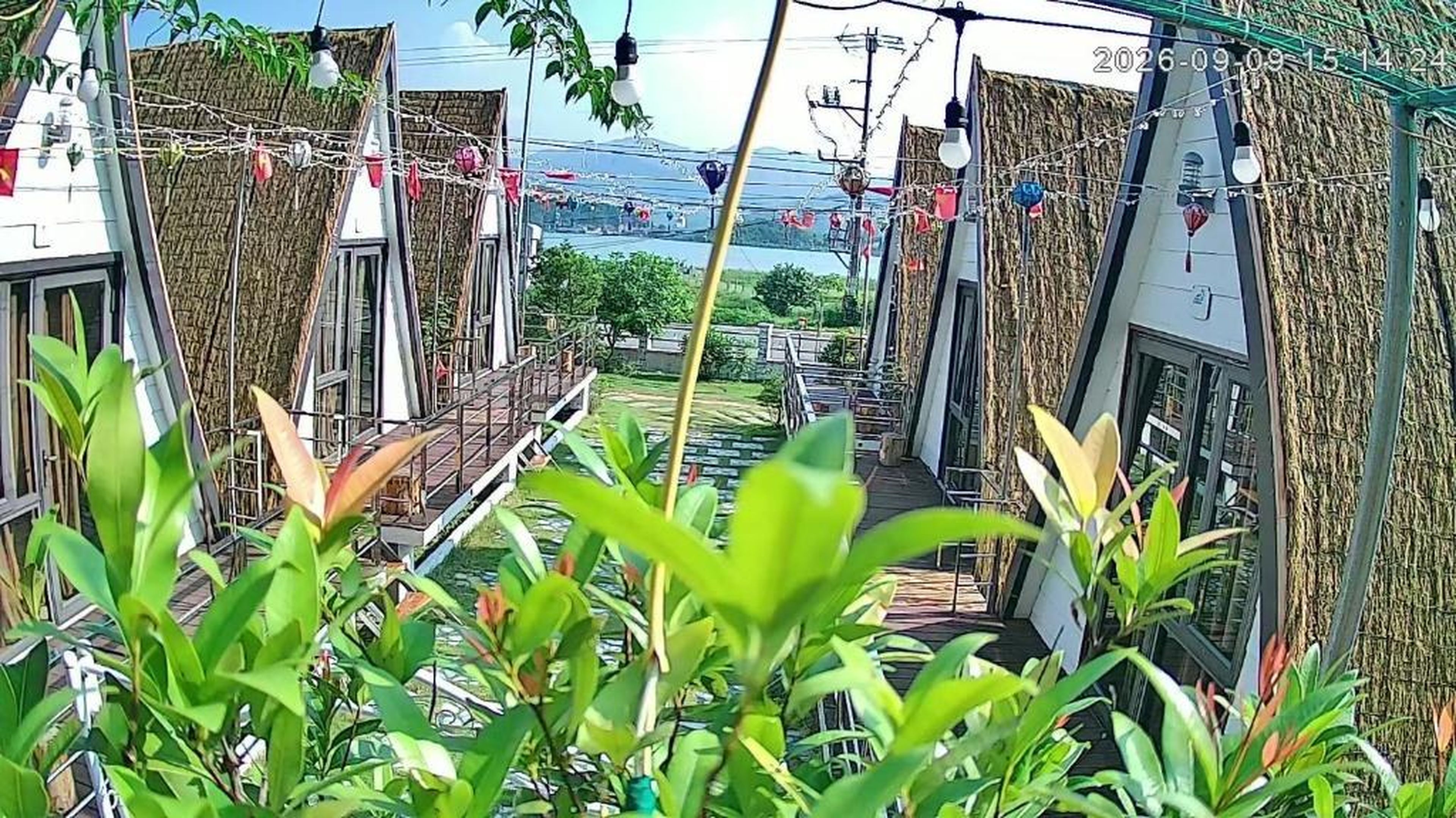Mia's Homestay - Hình 30