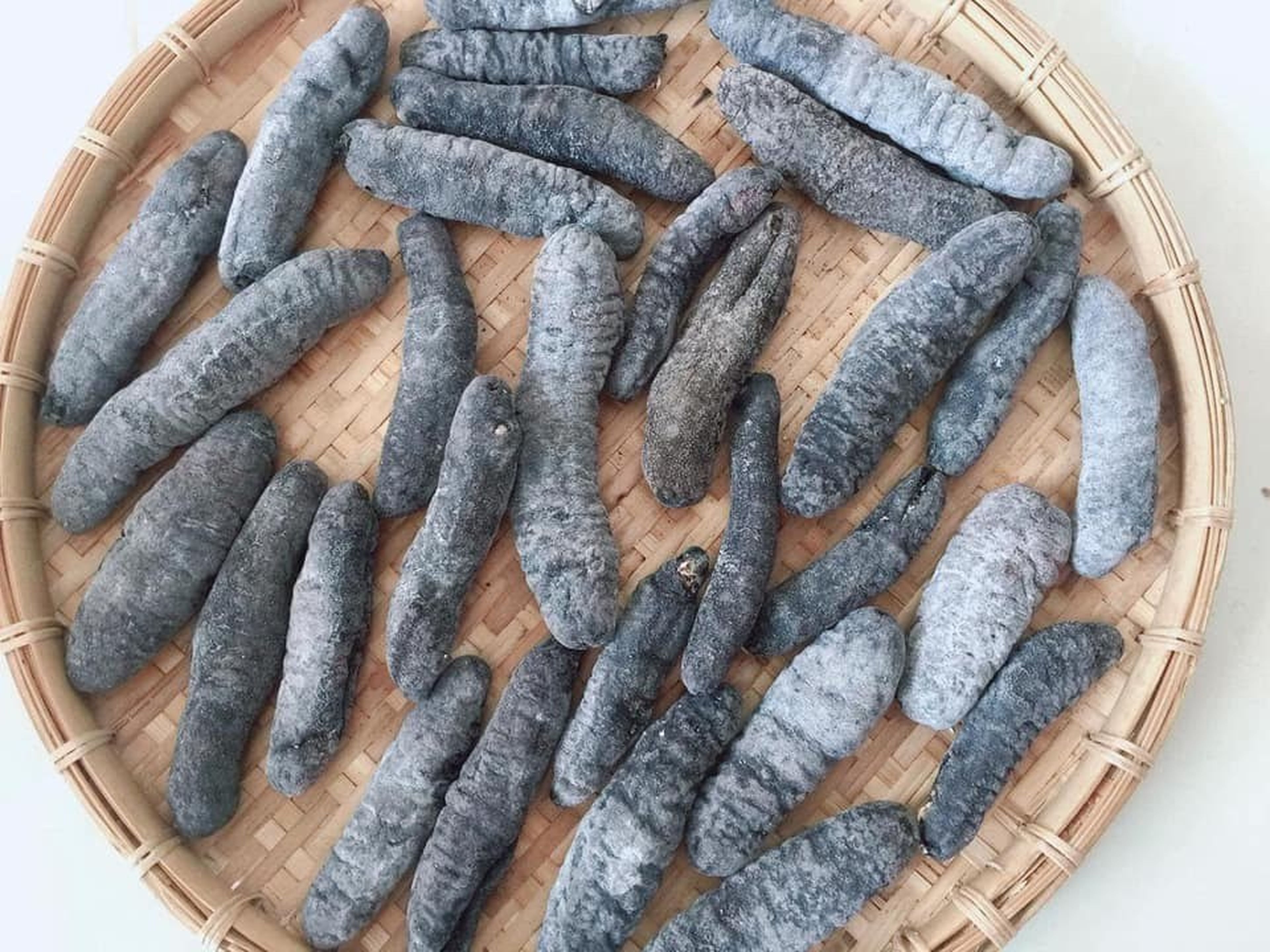 Hải Sâm Hạ Long - Món quà quý giá đến từ vùng biển cả Vịnh Thiên Đường - Hình 10