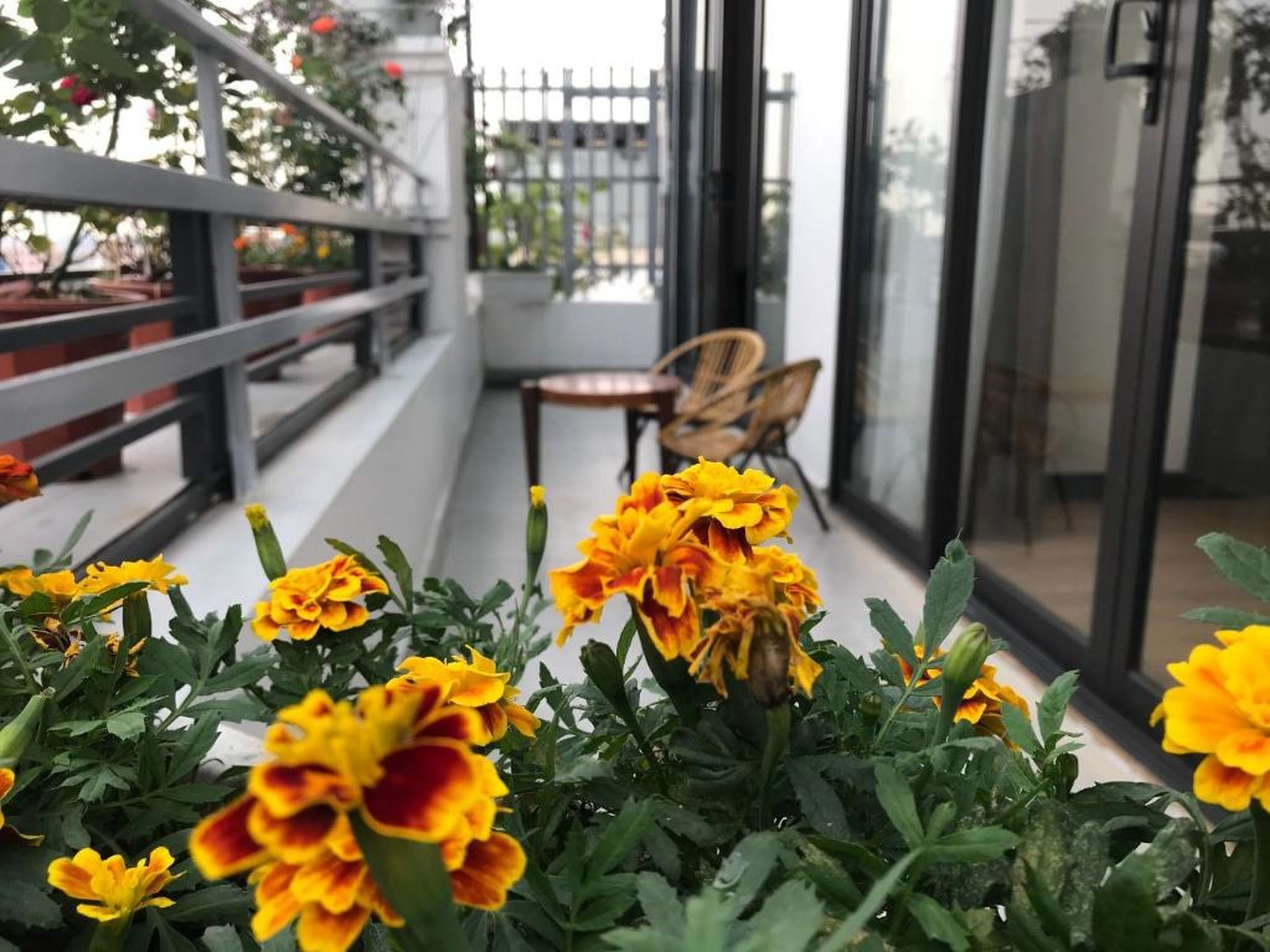 Elysinam Boutique Hotel Ha Long - Hình 35