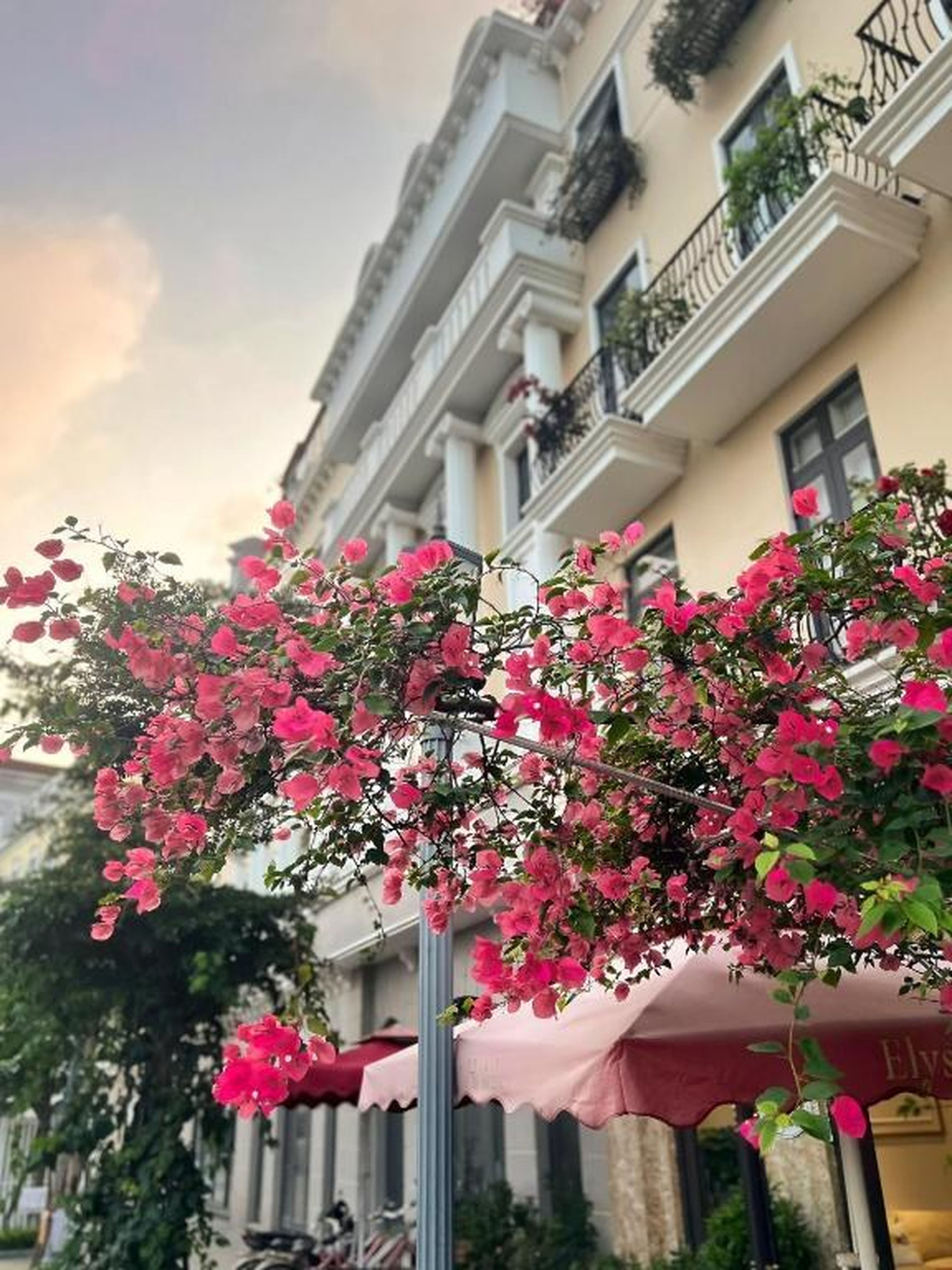 Elysinam Boutique Hotel Ha Long - Hình 41
